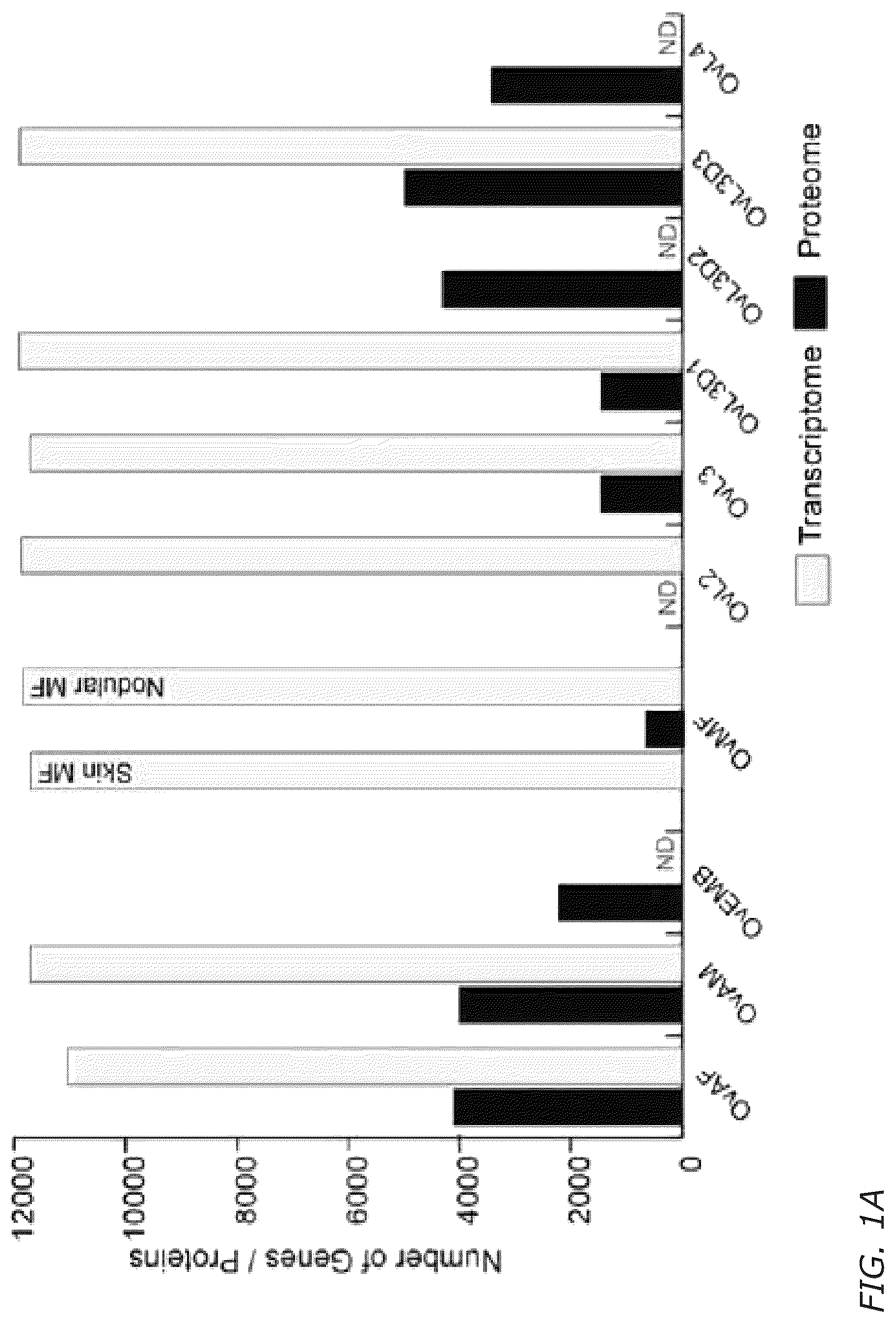 Patent US12311016 — Biomarkers and immunogenic compositions for filarial parasites — Figure 1