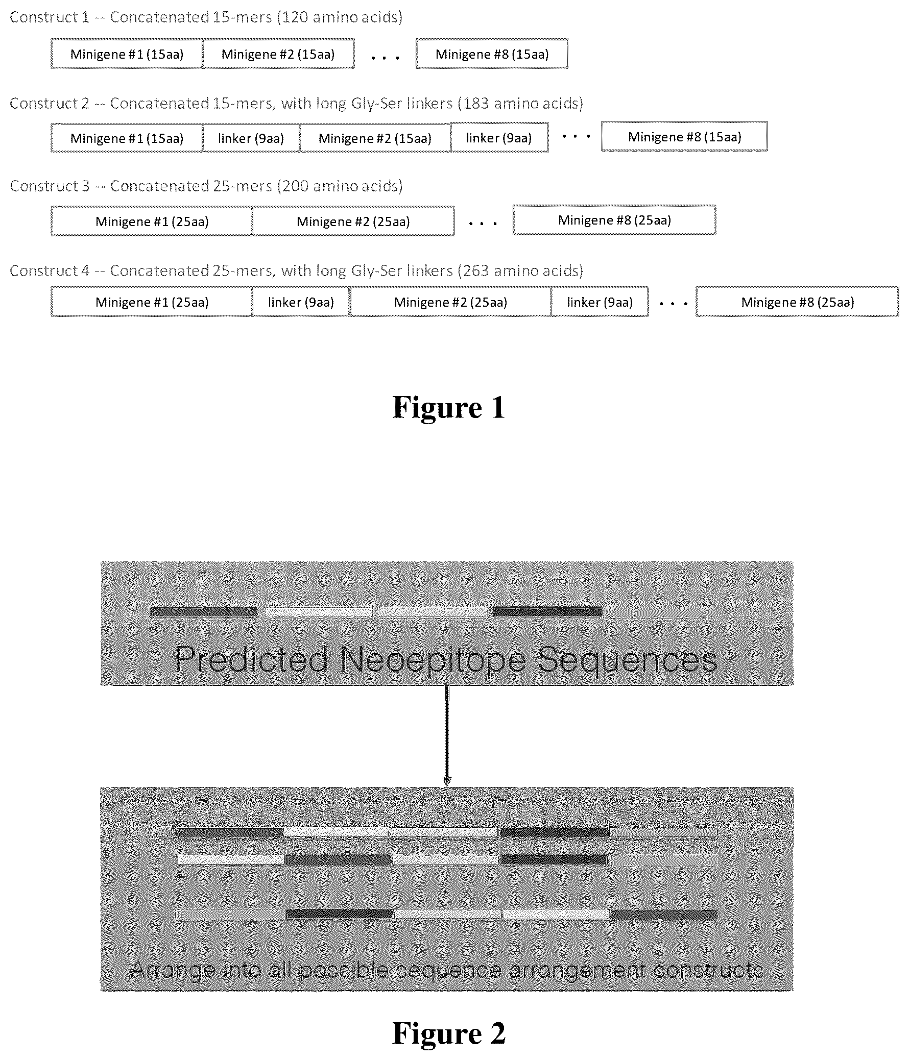 Patent US12311018 Figure 1 – Targeted neoepitope vectors and methods therefor