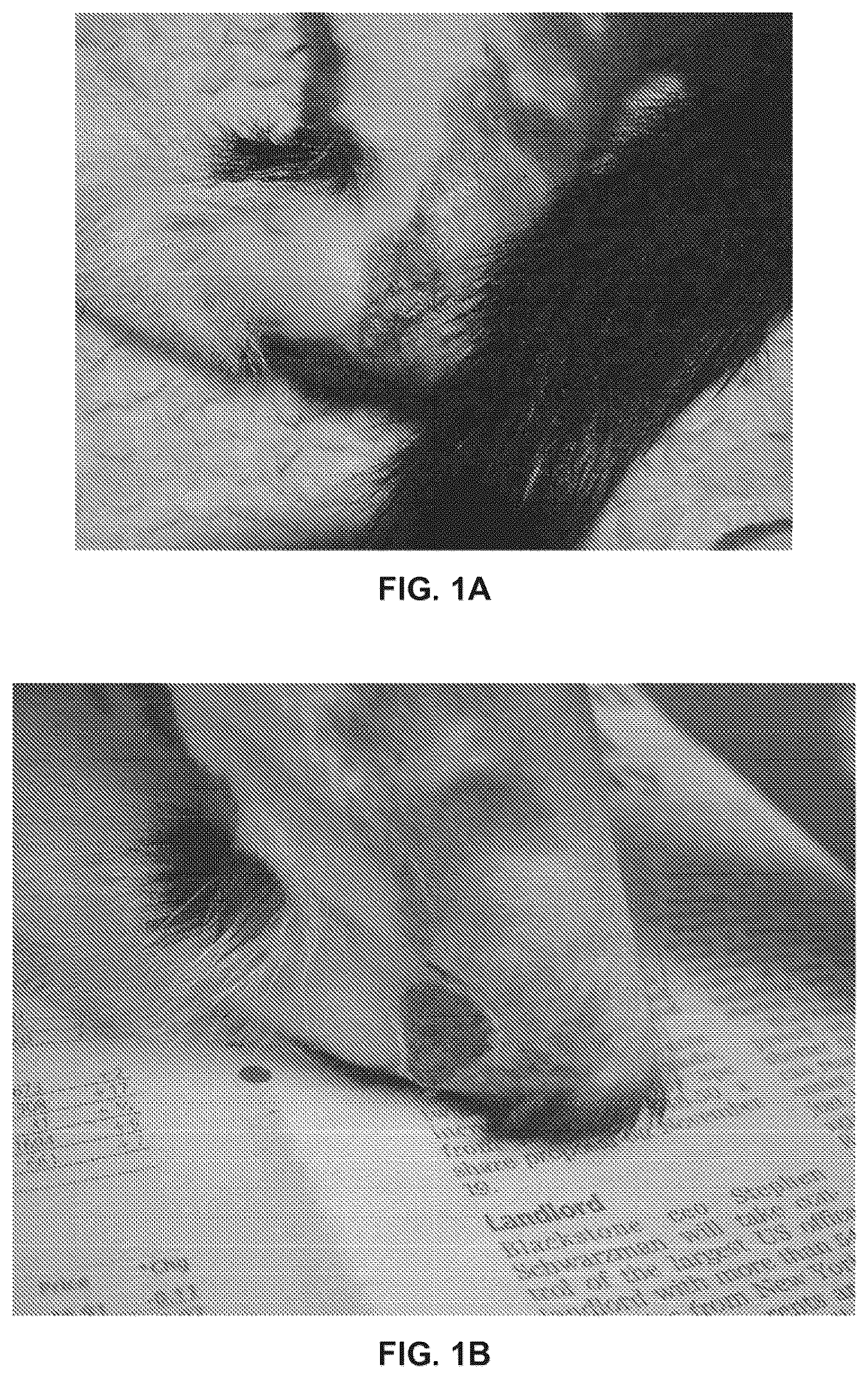 Patent US12311023 — Homeopathic complex — Figure 1