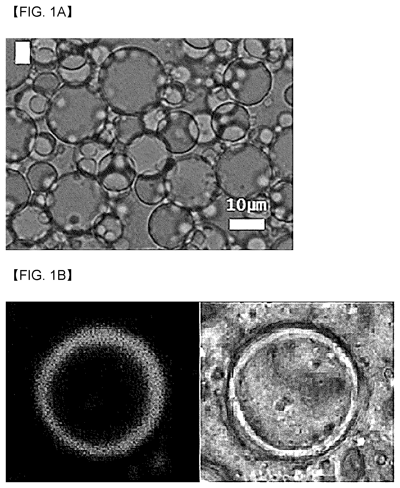 Patent US12311041 — Nanocapsules forming emulsion particles and emulsion composition including same — Figure 1