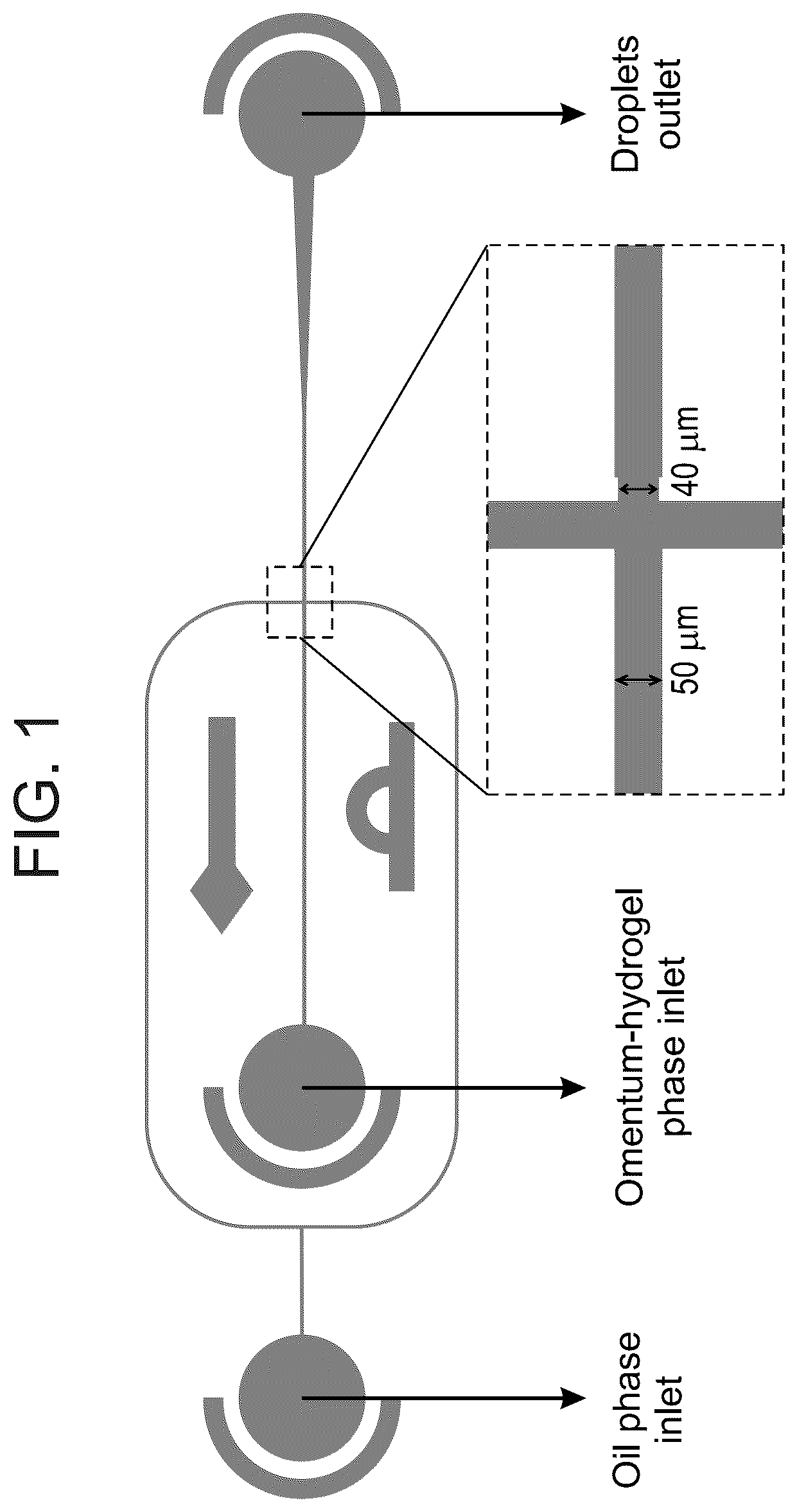 Patent US12311075 — Particles comprising decellularized omentum — Figure 1