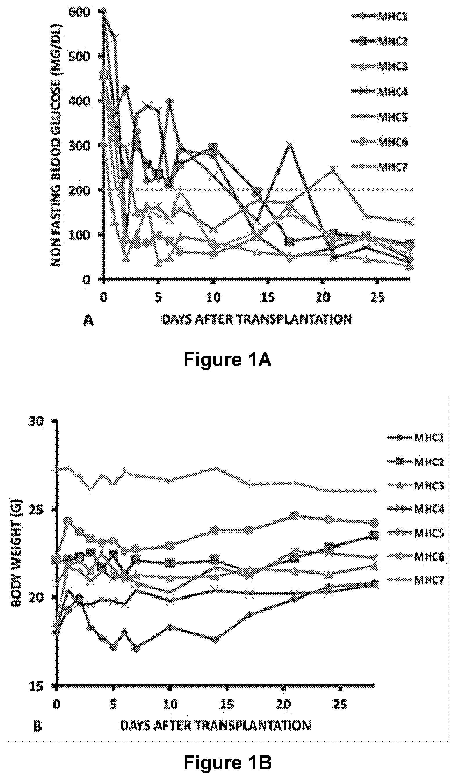 Patent US12311078 — Methods and compositions for cell transplantation — Figure 1