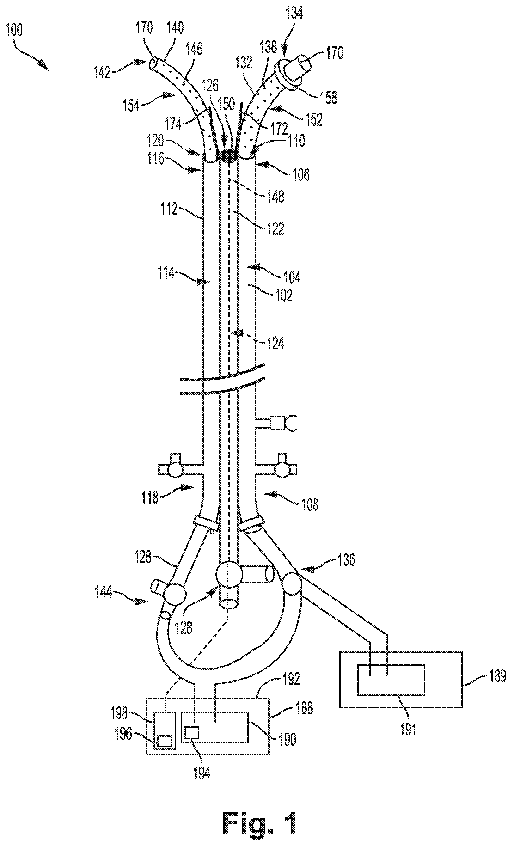 Patent US12311121 — Bi-lateral catheter system and methods for use — Figure 1