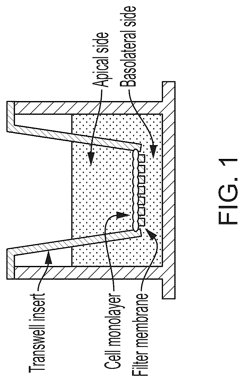Patent US12311136 — Using alternating electric fields to increase permeability of the blood brain barrier — Figure 1