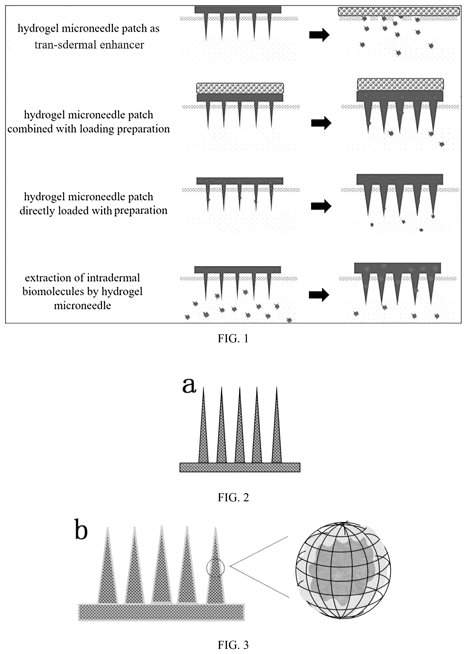 Patent US12311137 — Hydrogel microneedle patch based on three-dimensional framework structure, and preparation method and application thereof — Figure 1