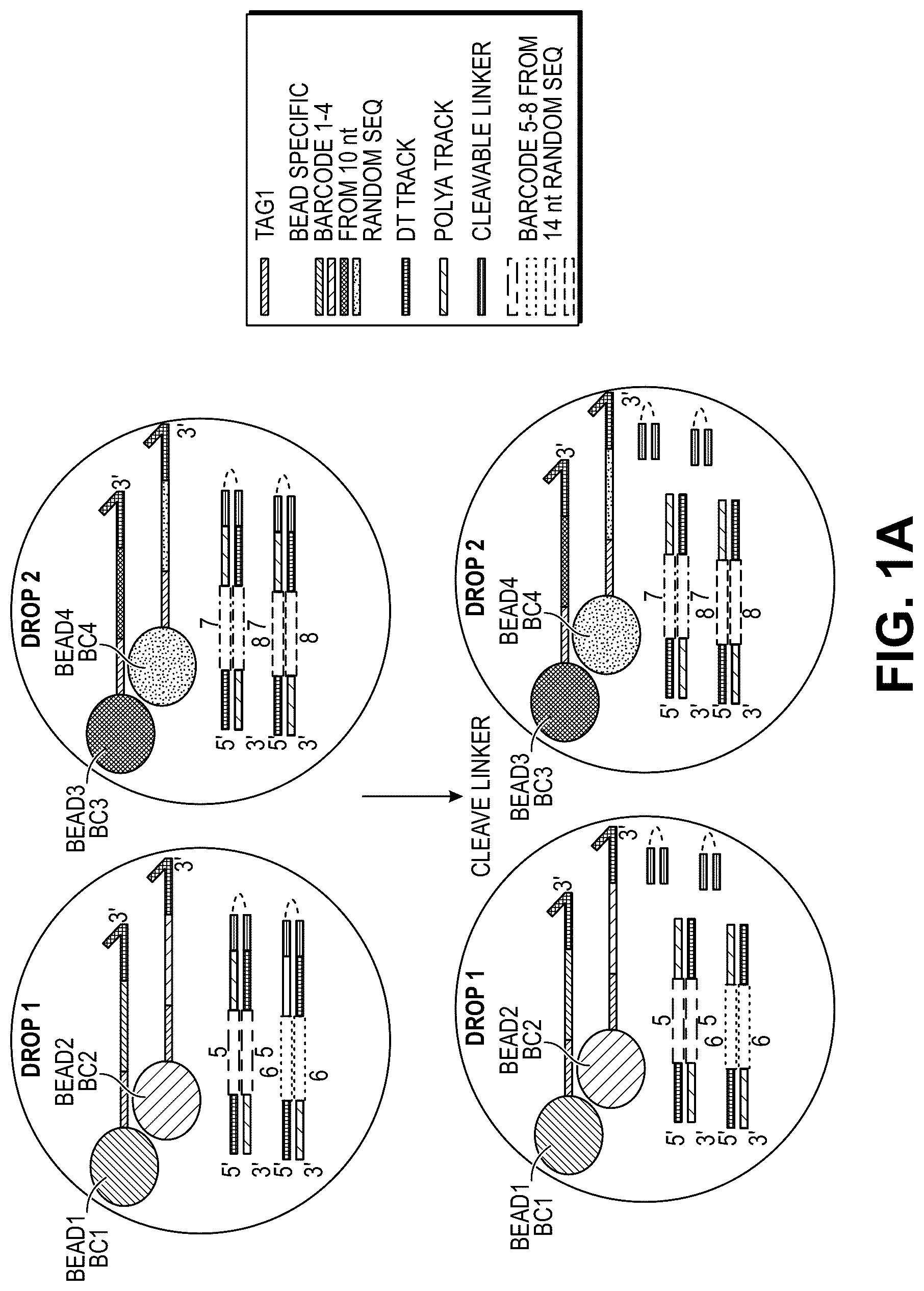 Patent US12311332 — Multiple beads per droplet resolution — Figure 1