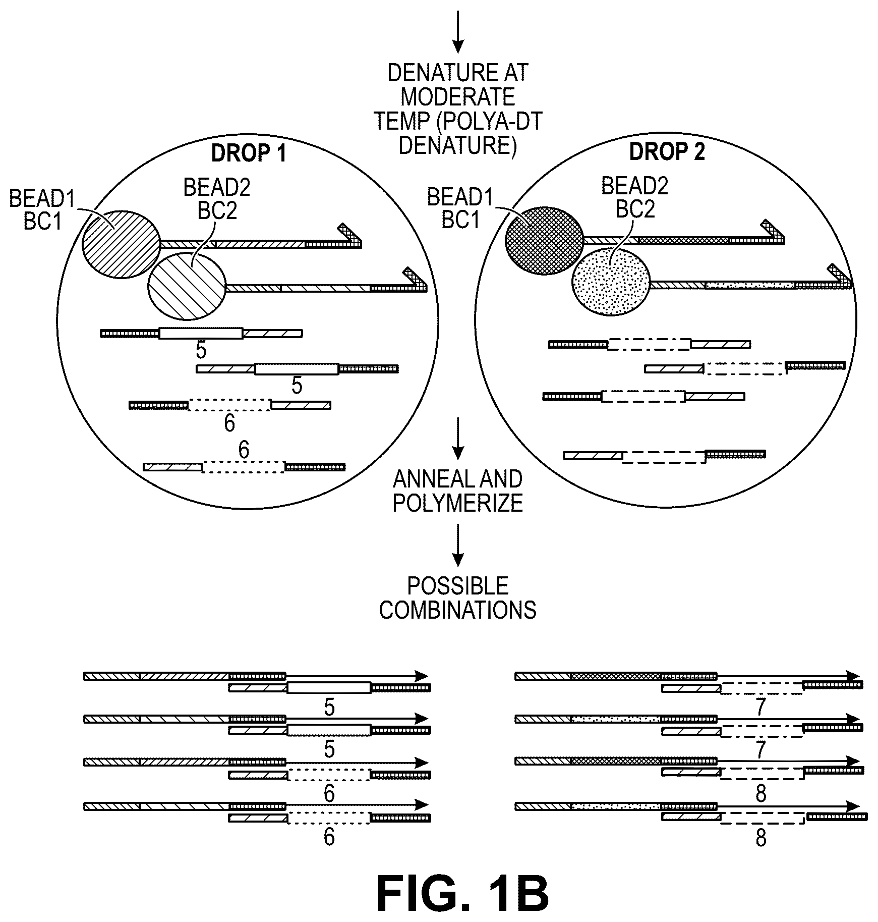 Patent US12311332 Figure 2 – Multiple beads per droplet resolution