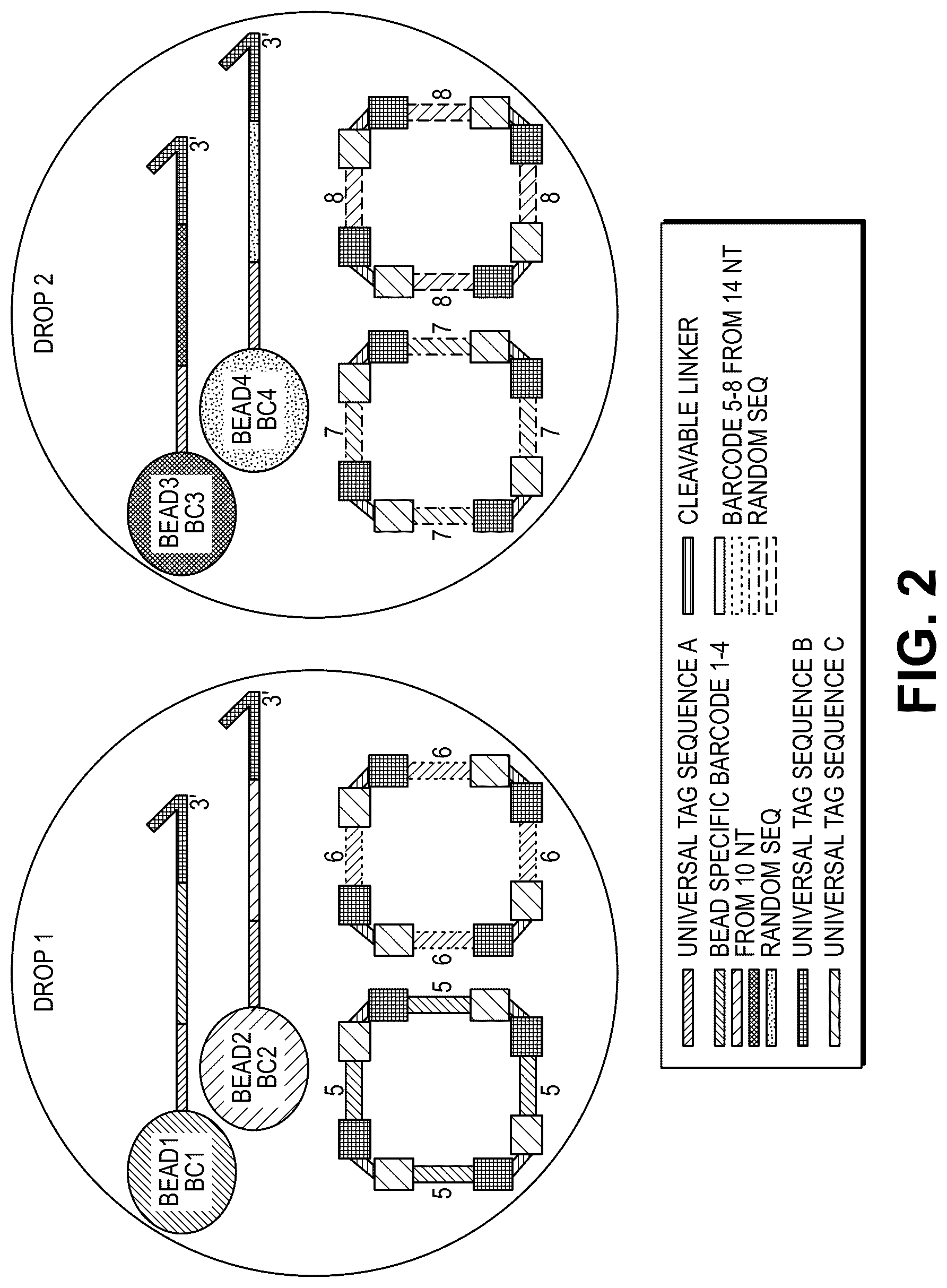 Patent US12311332 Figure 4 – Multiple beads per droplet resolution