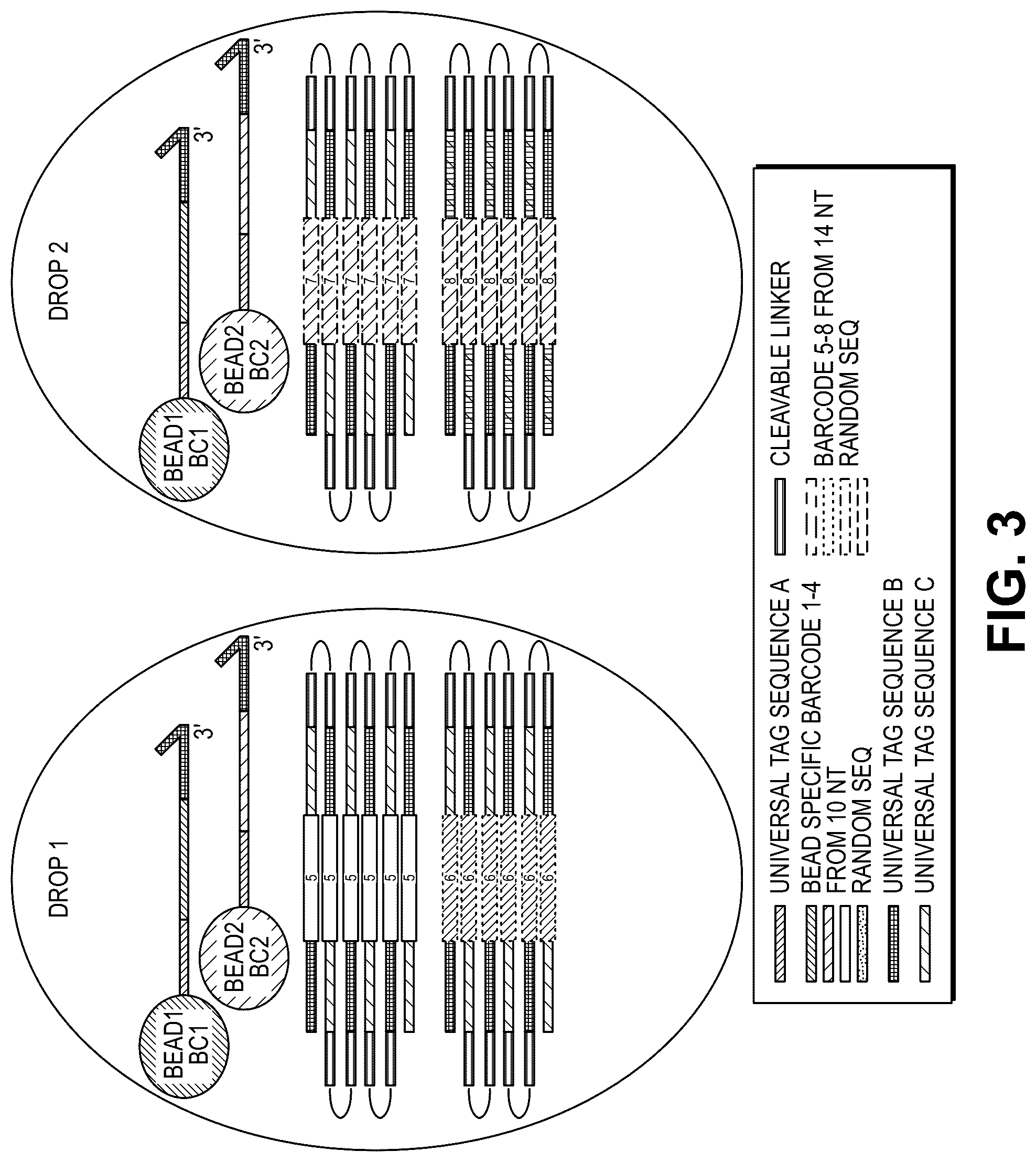 Patent US12311332 Figure 5 – Multiple beads per droplet resolution