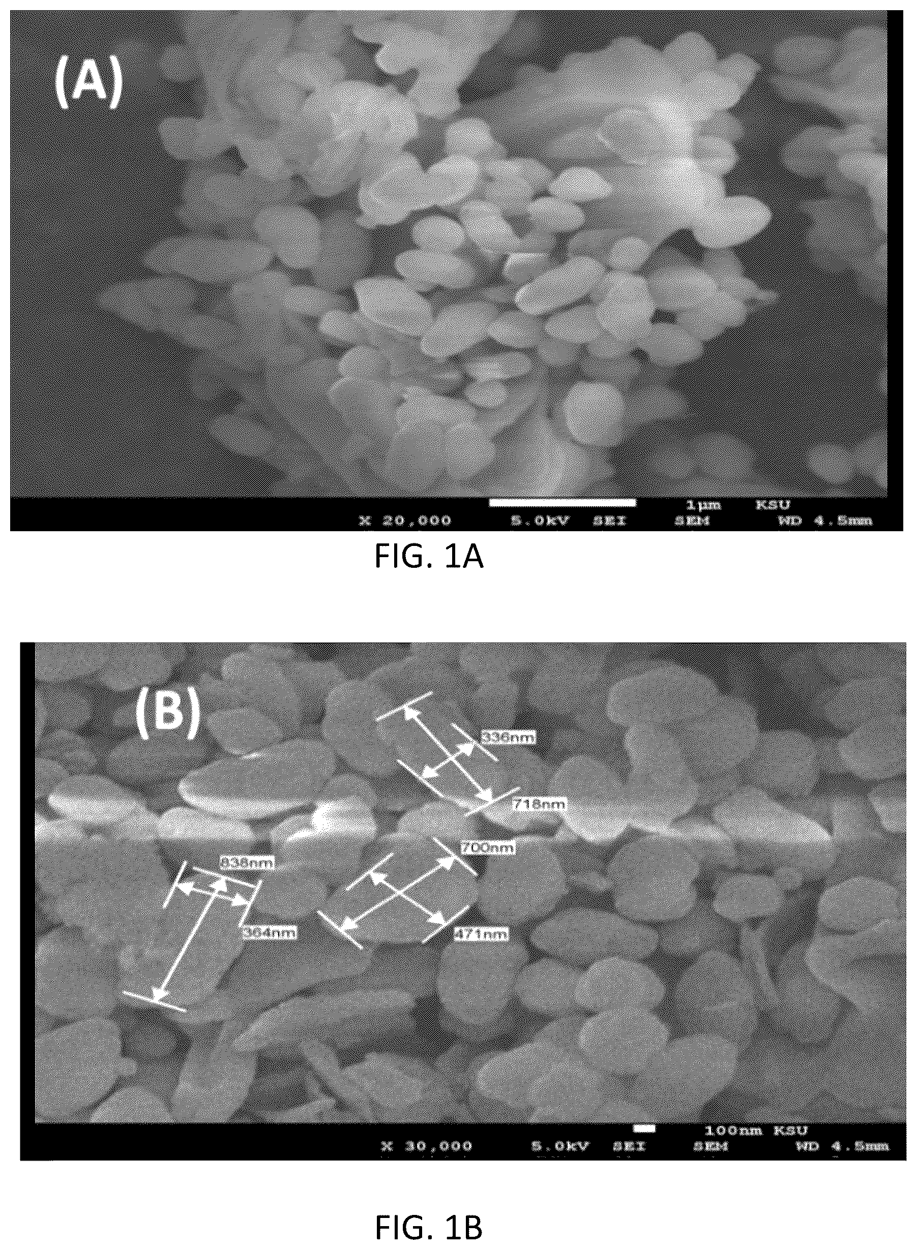 Patent US12311337 — Functionalized silica nanoparticles for lead adsorption — Figure 1