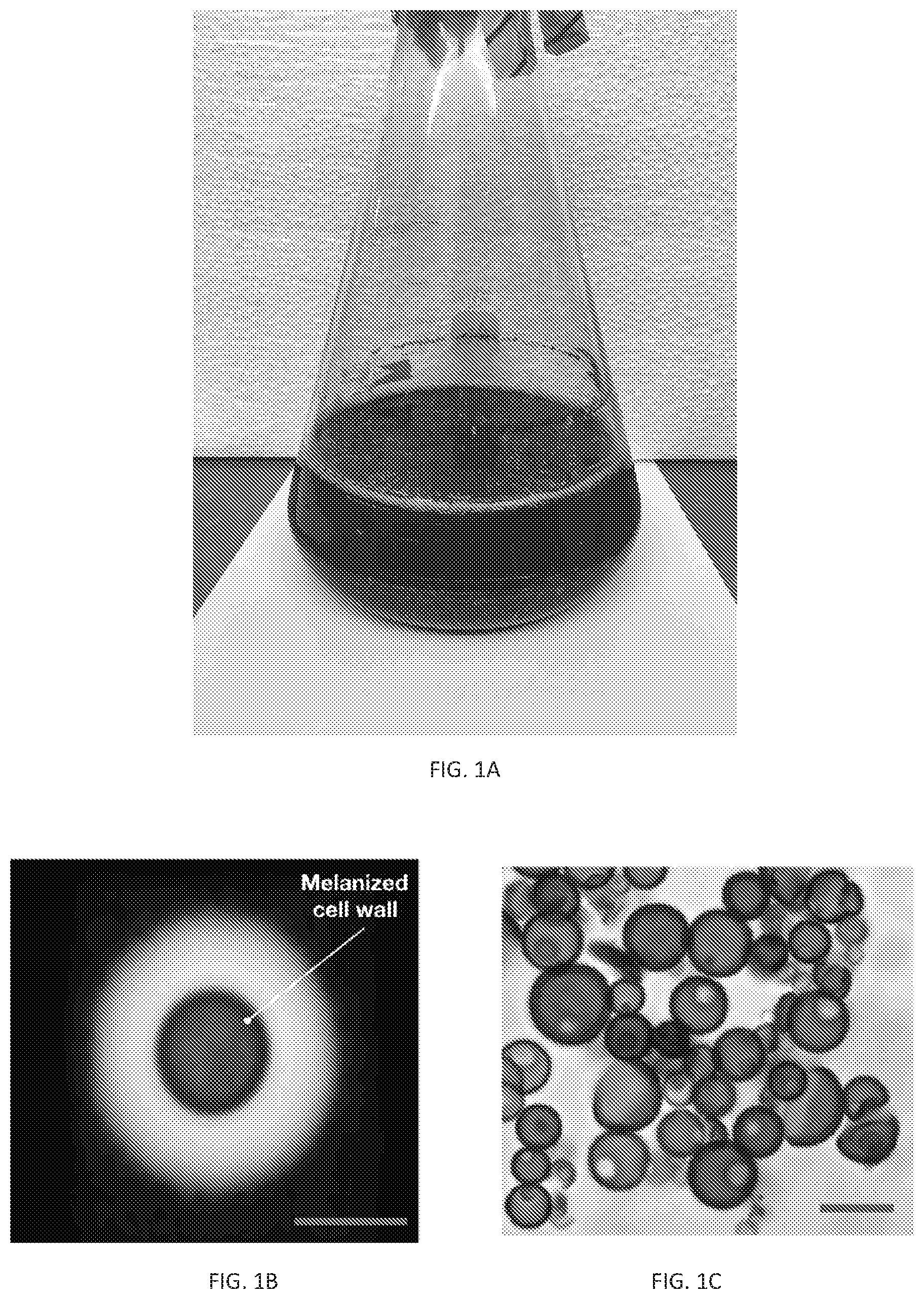 Patent US12311593 — Melanin based bio-composites for 3D printing — Figure 1