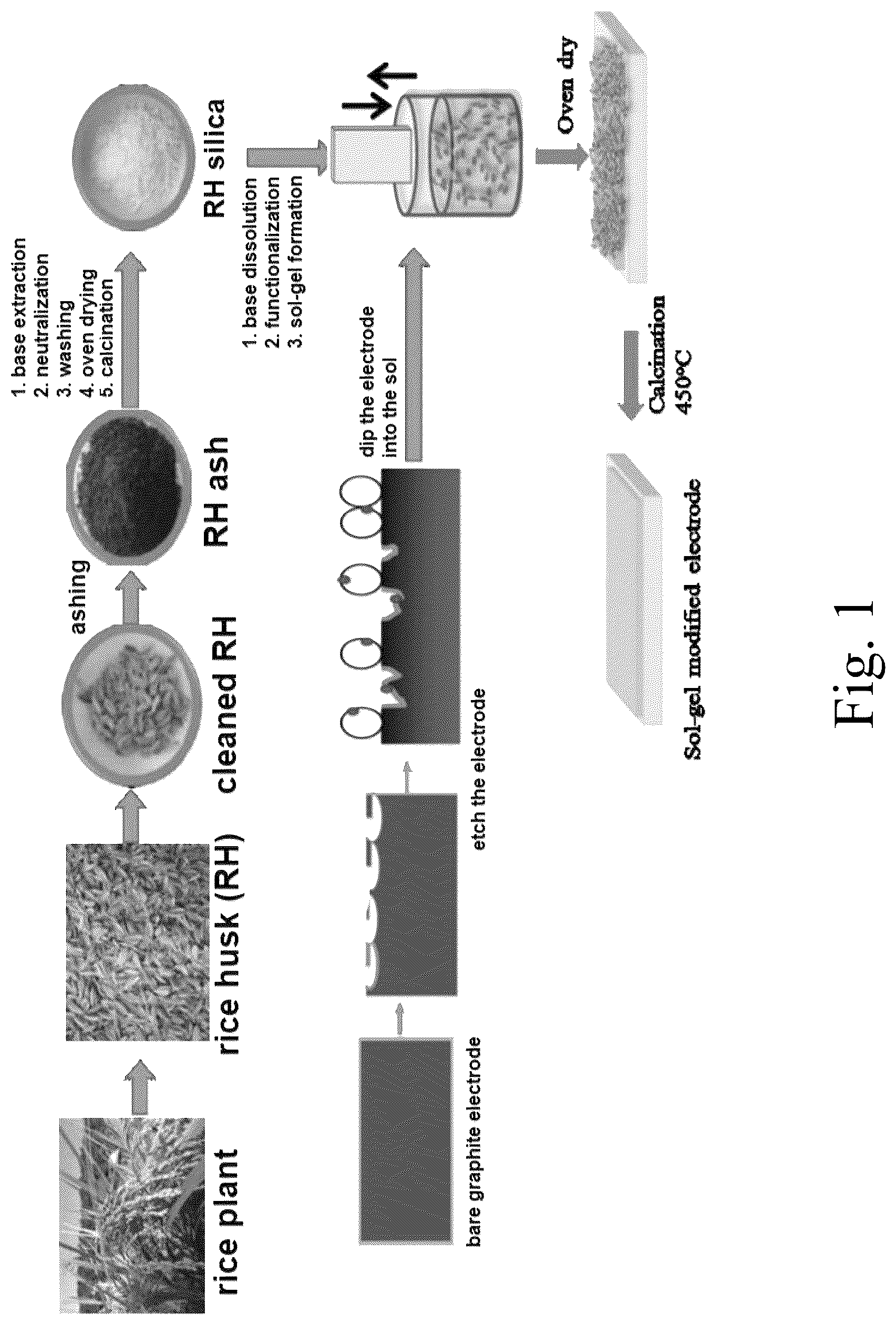Patent US12312259 — Coated sulfonated graphite slab electrode — Figure 1