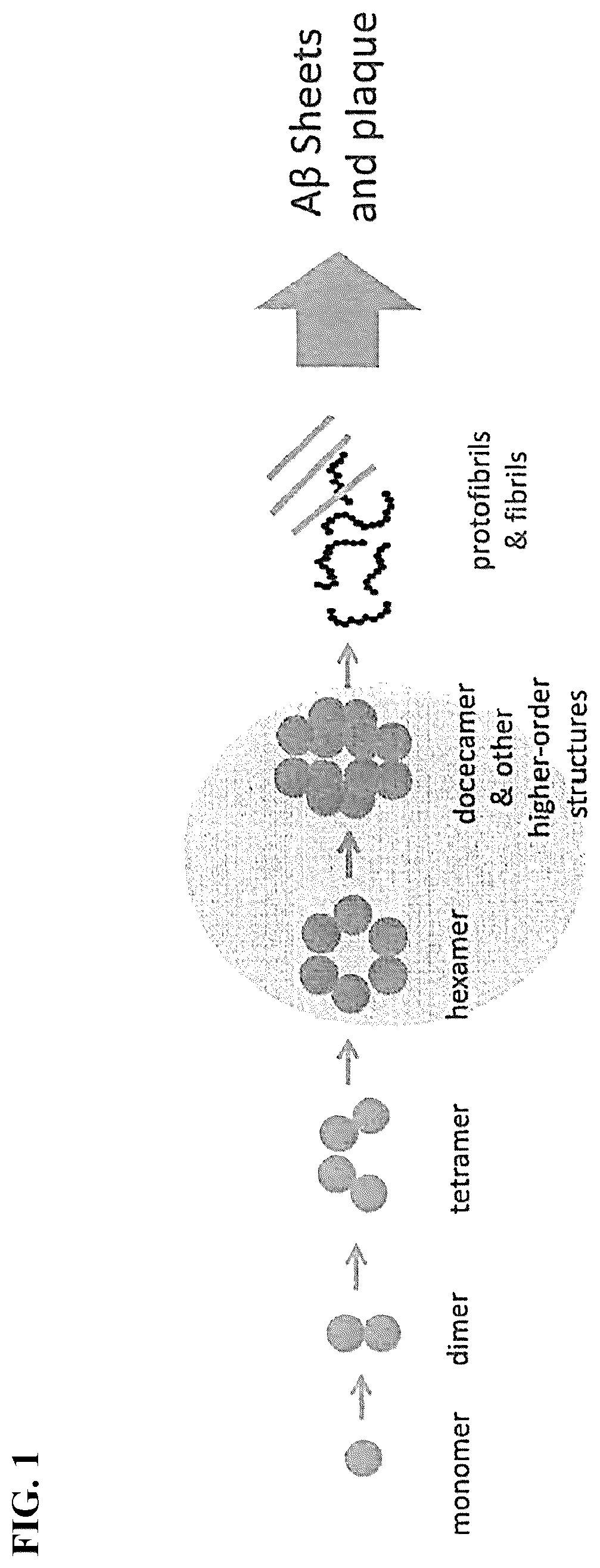 Patent US12312296 Figure 1 – Substituted piperazines as disrupters of AB42 oligomer formation