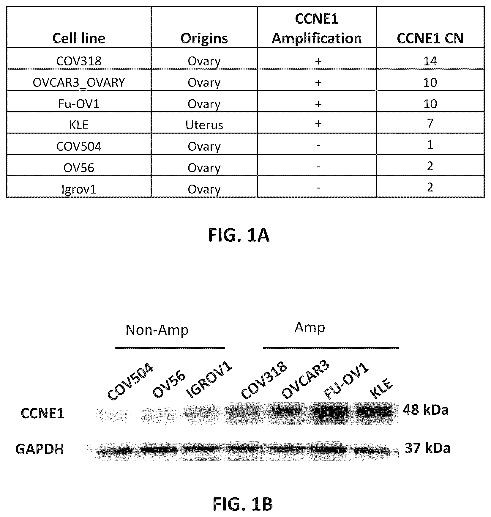 Patent US12312331 — Imidazolyl pyrimidinylamine compounds as CDK2 inhibitors — Figure 1