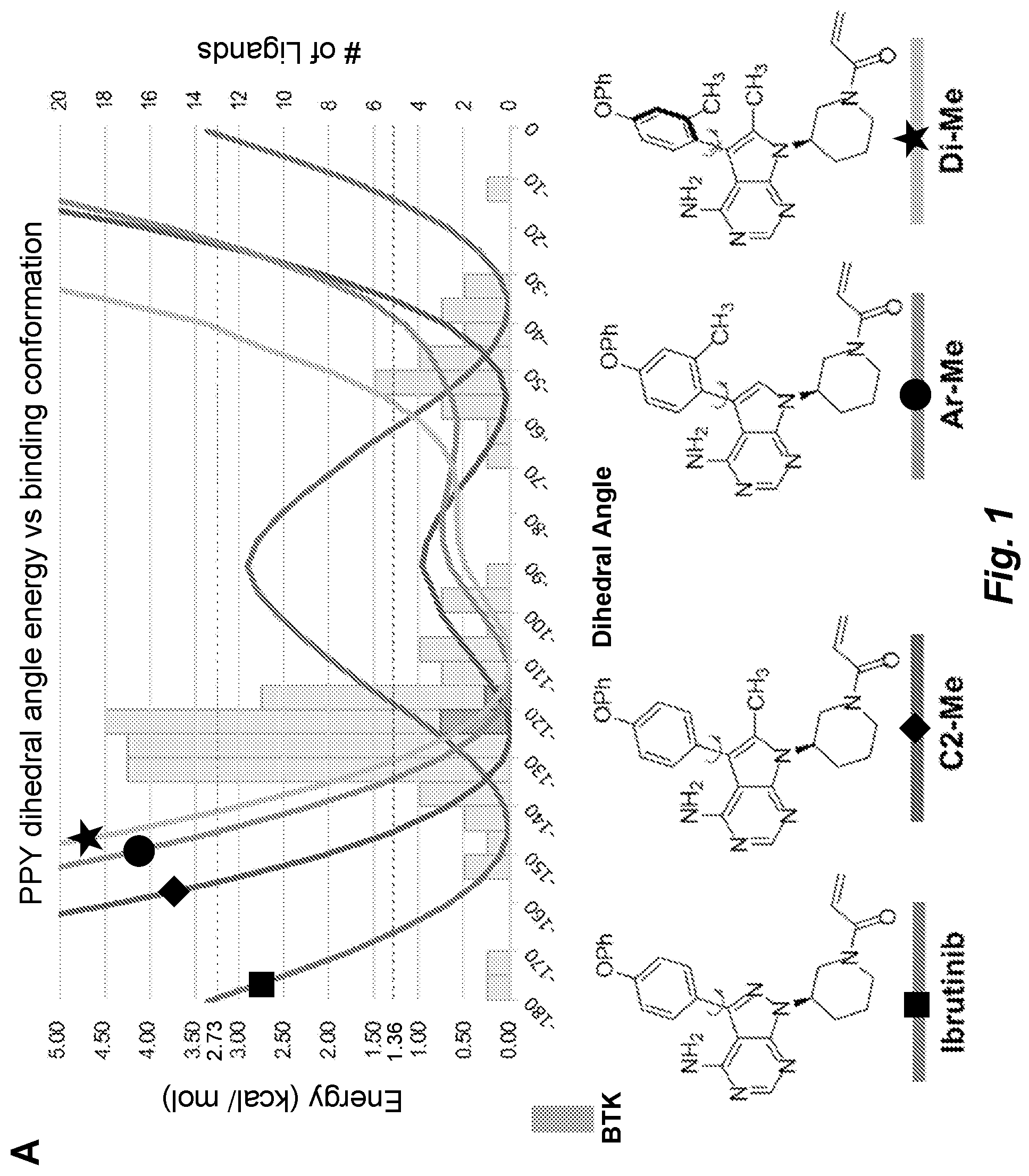 Patent US12312354 — Selective BTK irreversible inhibitors — Figure 1