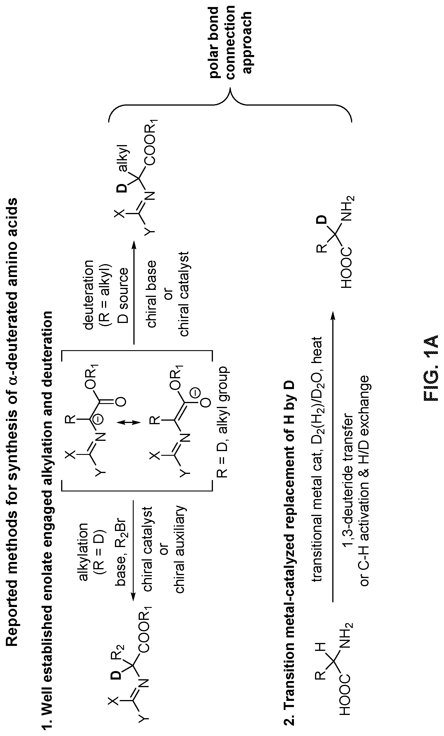 Patent US12312361 — Methods for practical synthesis of deuterated amino acids — Figure 1