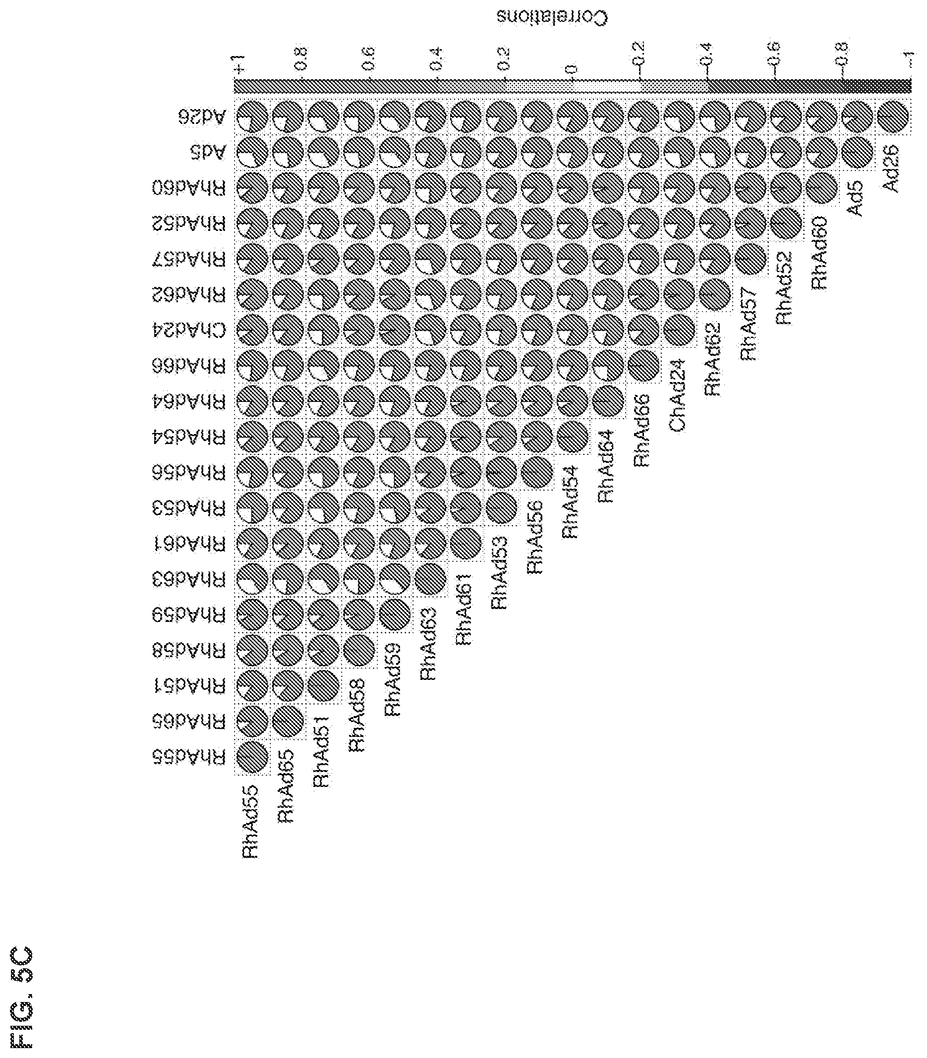 Patent US12312382 Figure 12 – Recombinant adenoviruses and uses thereof