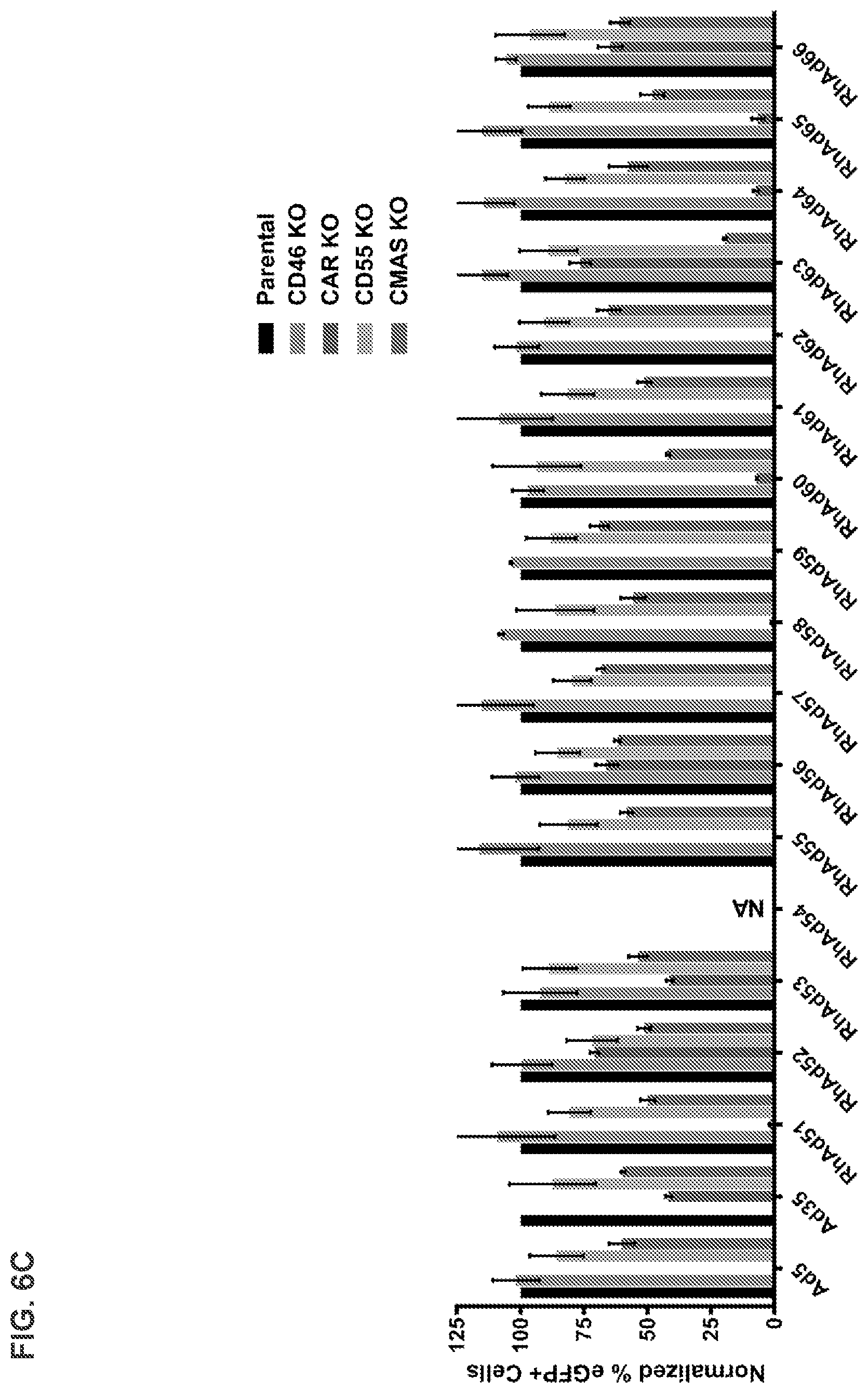 Patent US12312382 Figure 15 – Recombinant adenoviruses and uses thereof