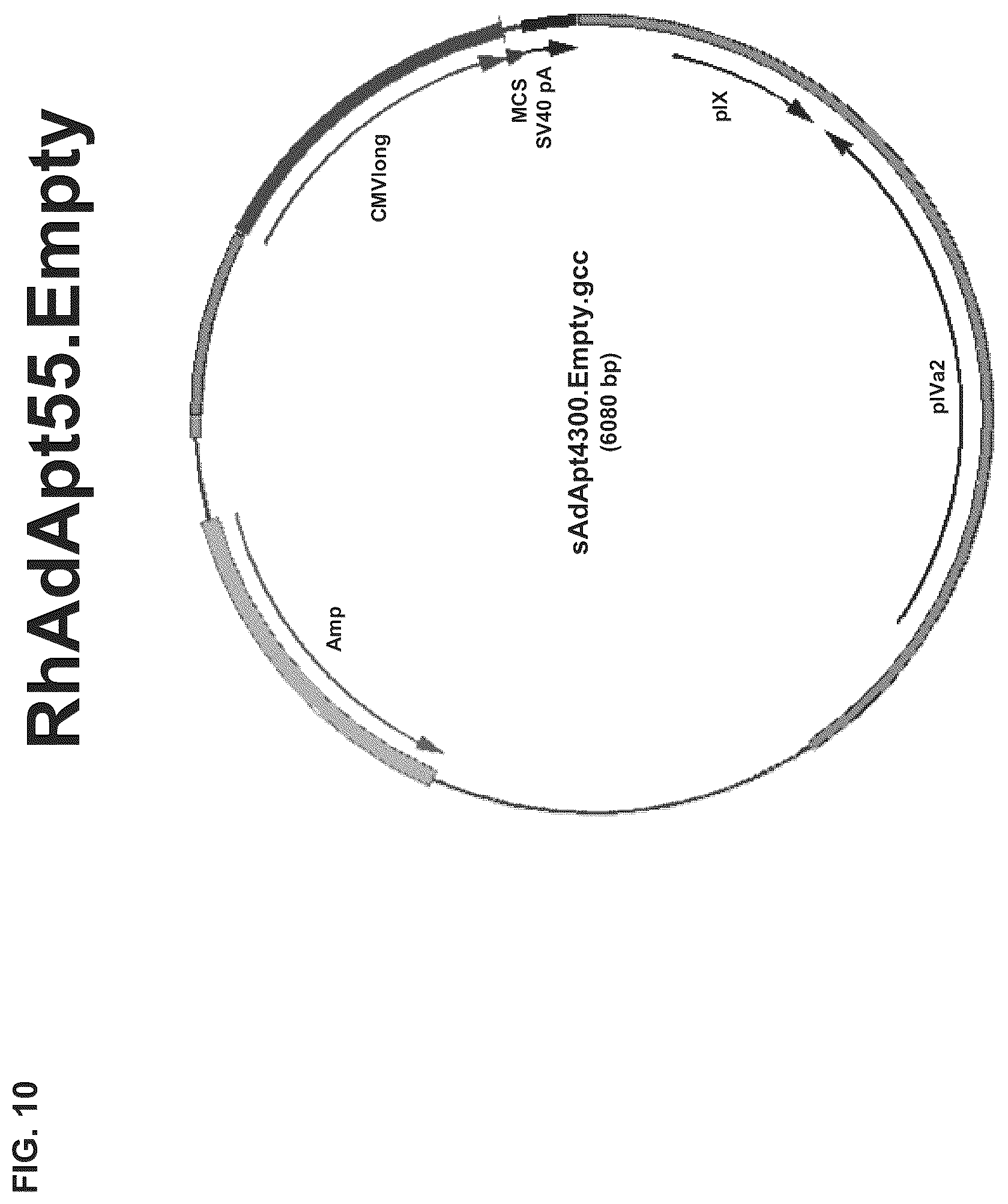 Patent US12312382 Figure 19 – Recombinant adenoviruses and uses thereof