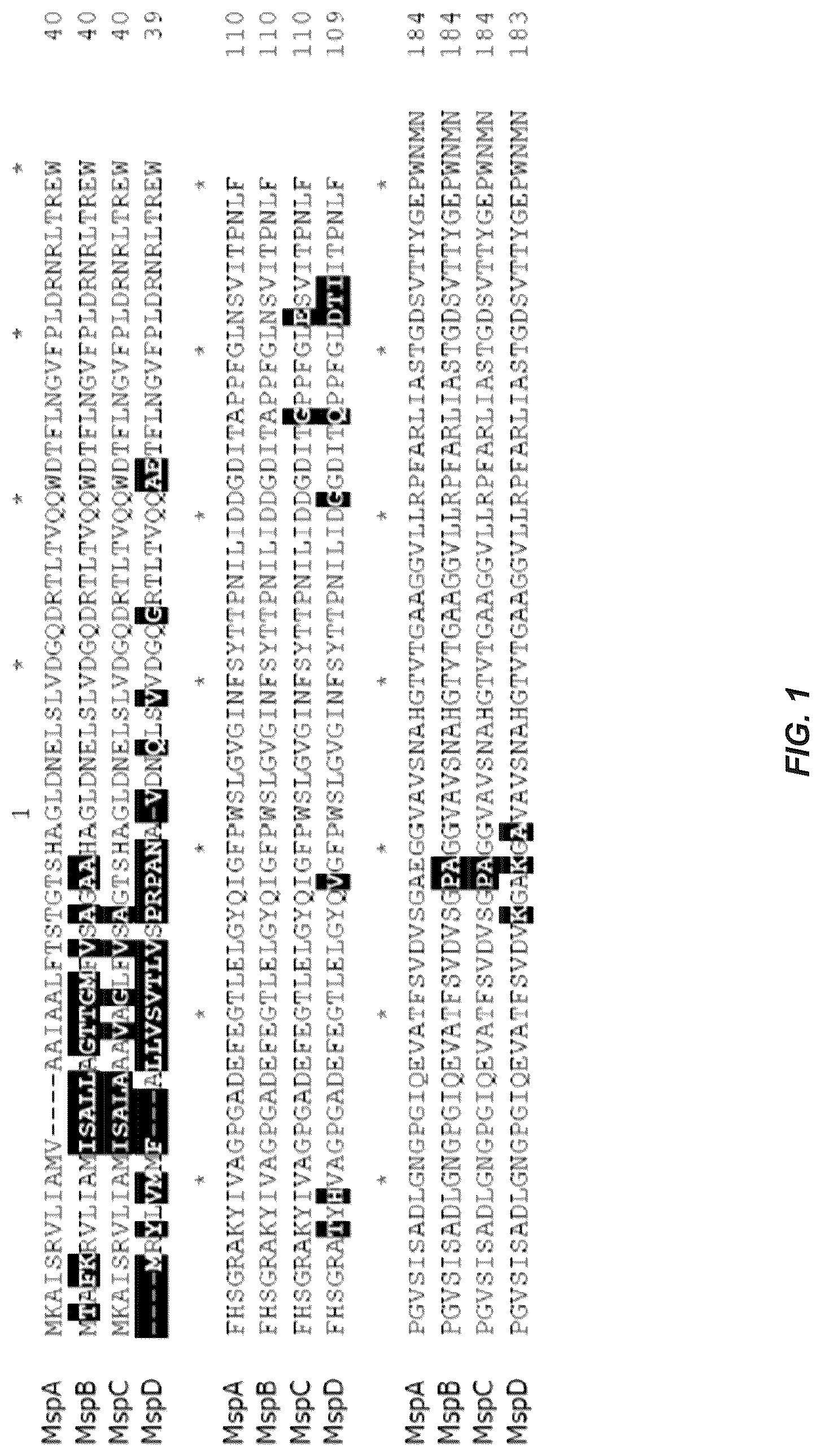 Patent US12312385 — MSP nanopores and uses thereof — Figure 1