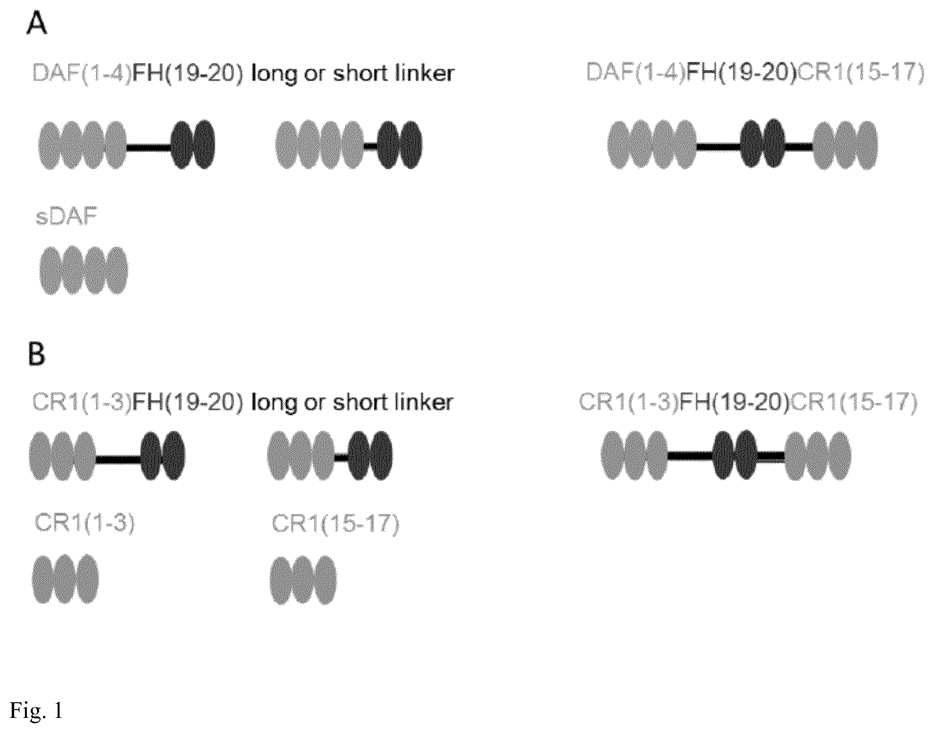 Patent US12312387 — Complement inhibitors and uses thereof — Figure 1