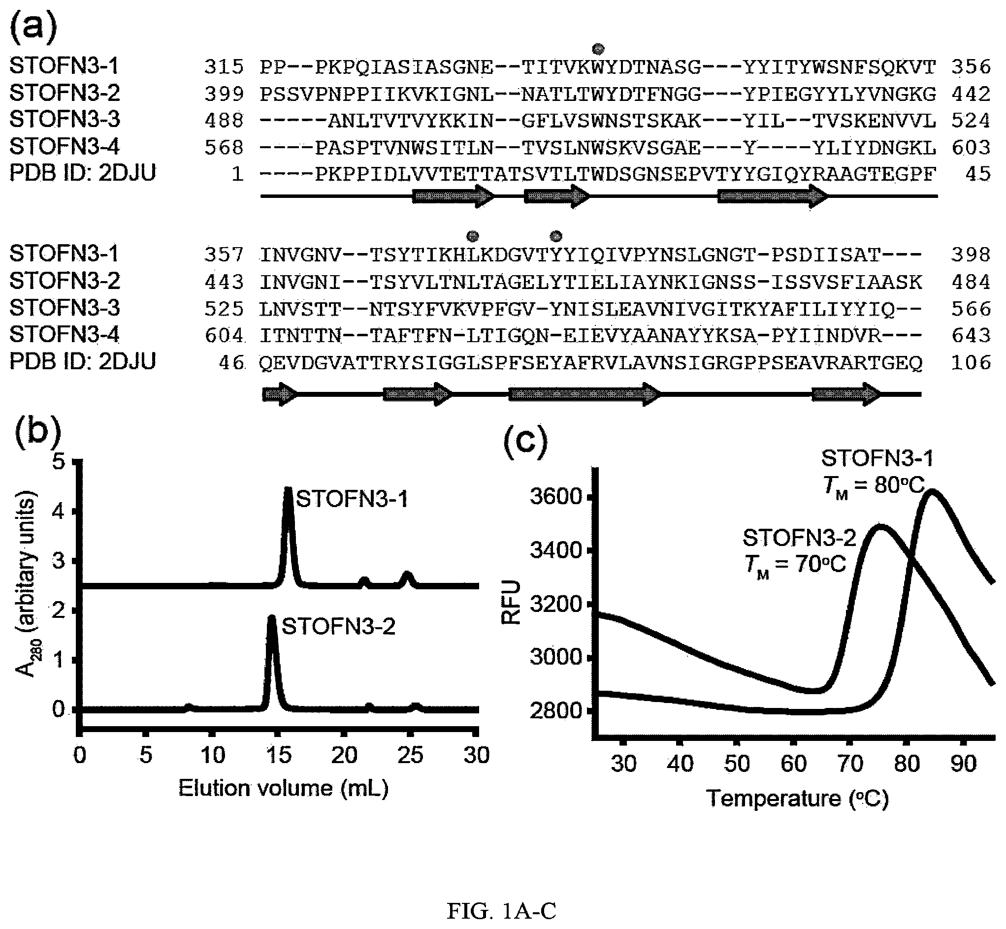 Patent US12312392 Figure 1 – Methods and composition involving thermophilic fibronectin type III (FN3) monobodies