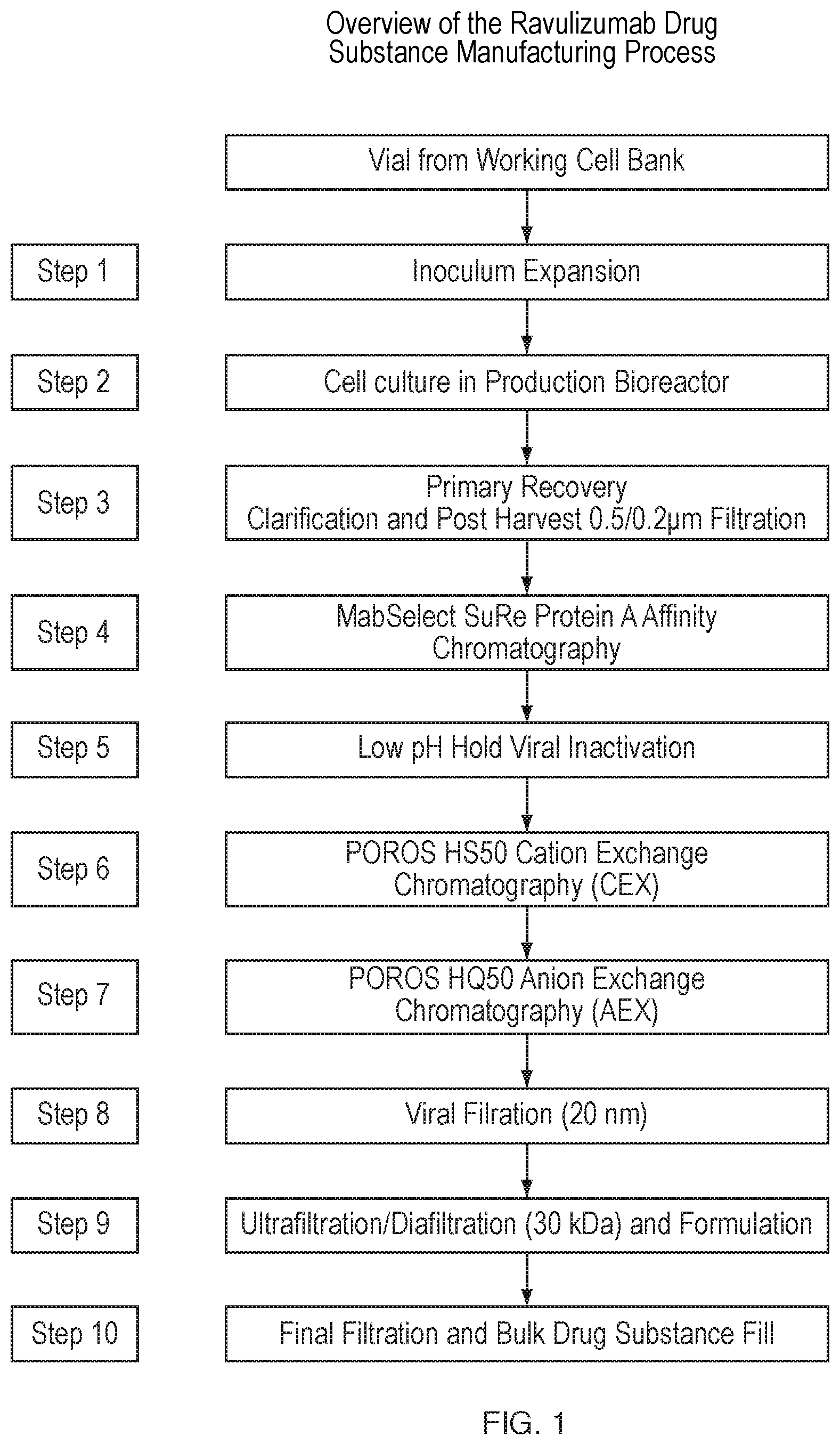 Patent US12312394 — Methods of producing anti-C5 antibodies — Figure 1