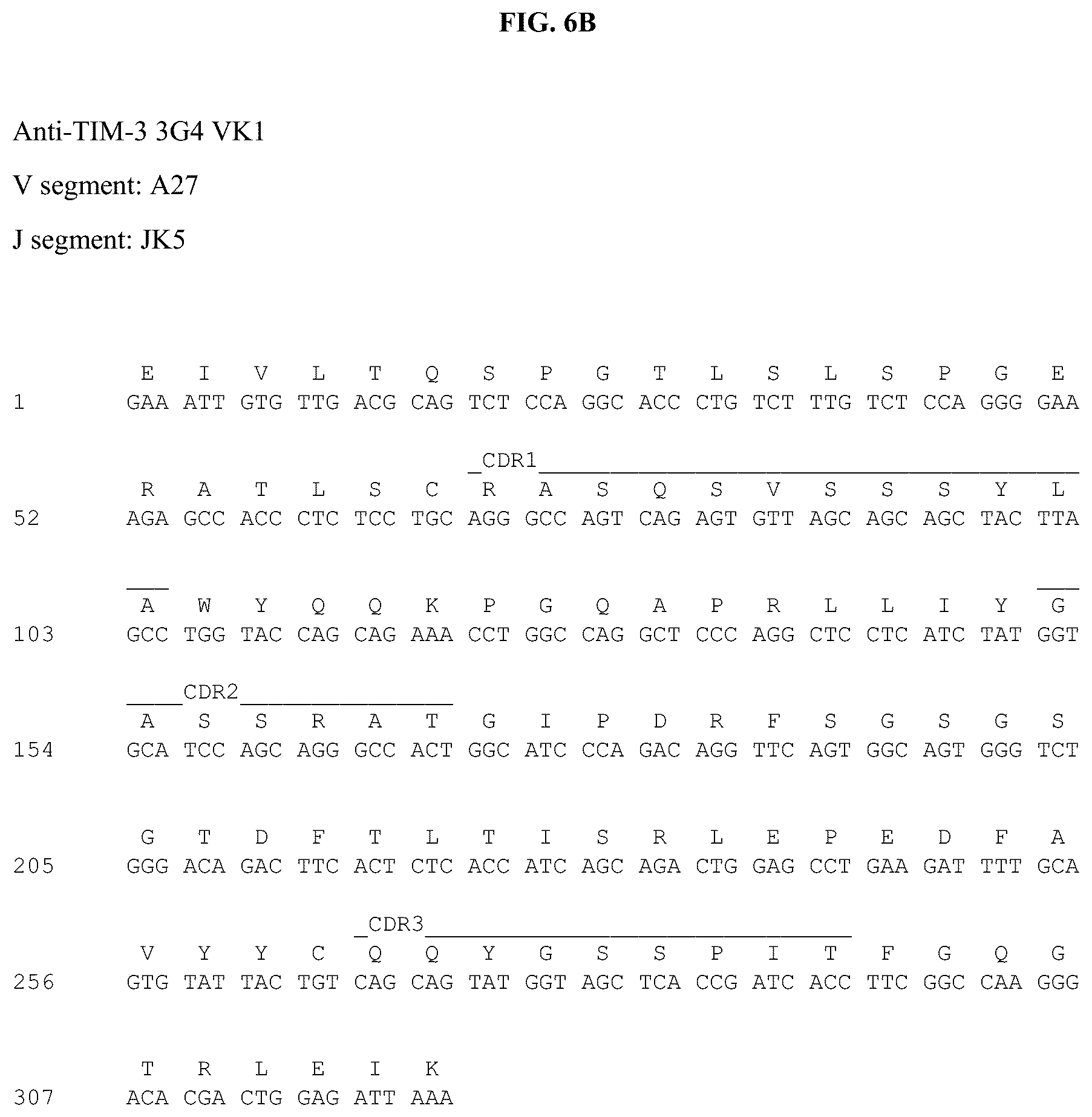 Patent US12312403 Figure 19 – Antibodies against TIM3 and uses thereof
