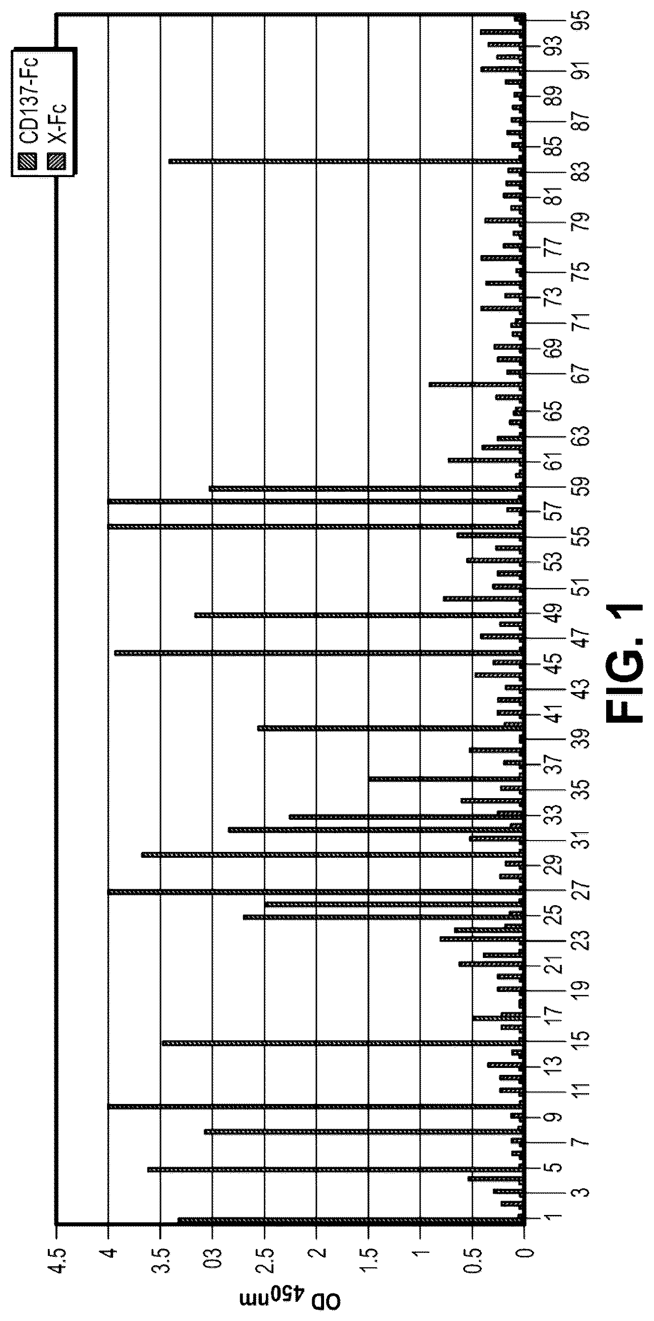 Patent US12312409 Figure 1 – Bispecific CD137-binding antibodies for T-cell activation
