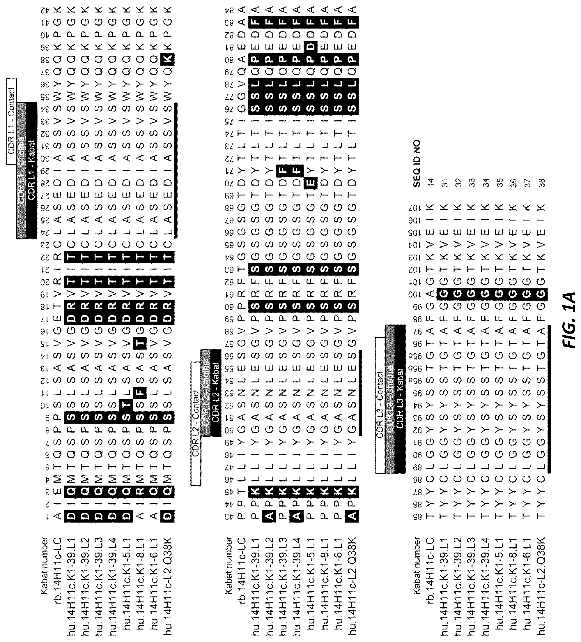 Patent US12312414 Figure 1 – Anti-KLK7 antibodies, anti-KLK5 antibodies, multispecific anti-KLK5/KLK7 antibodies, and methods of use