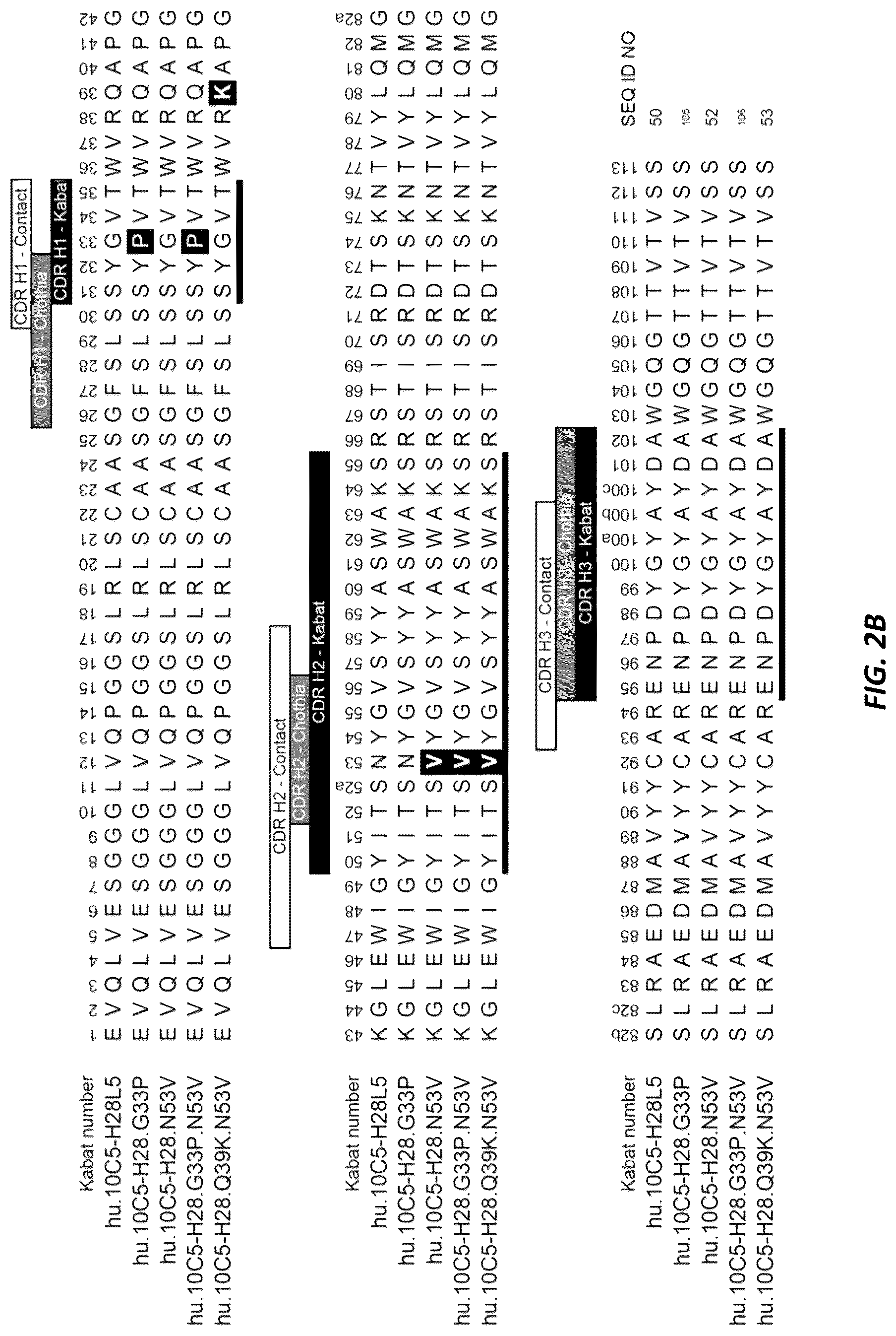 Patent US12312414 Figure 4 – Anti-KLK7 antibodies, anti-KLK5 antibodies, multispecific anti-KLK5/KLK7 antibodies, and methods of use