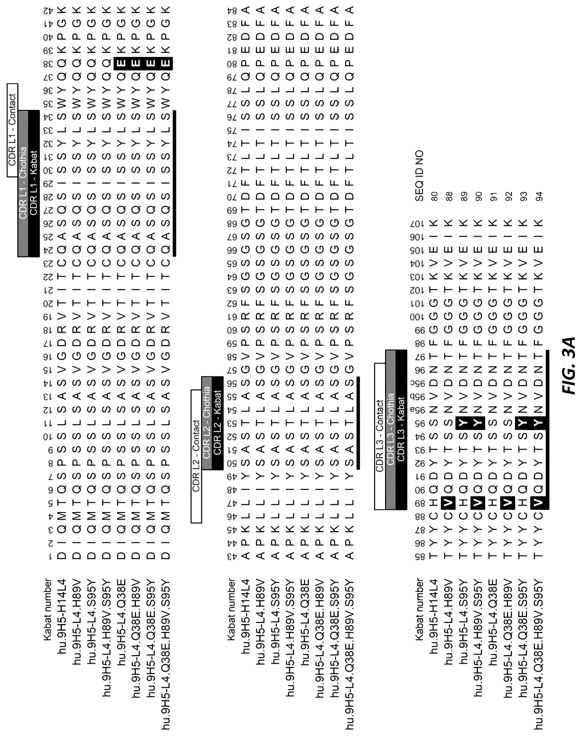 Patent US12312414 Figure 5 – Anti-KLK7 antibodies, anti-KLK5 antibodies, multispecific anti-KLK5/KLK7 antibodies, and methods of use