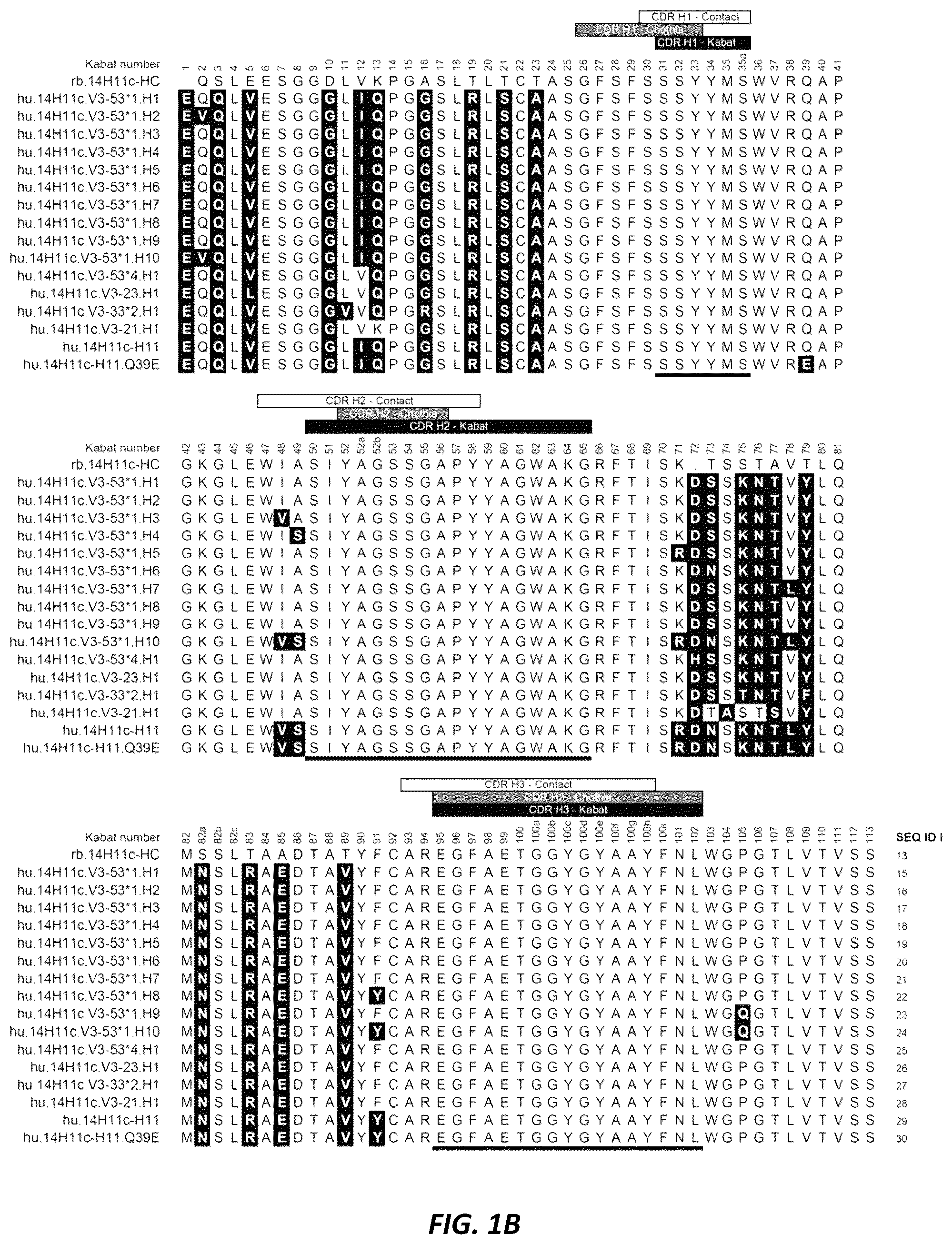 Patent US12312415 Figure 2 – Anti-KLK7 antibodies, anti-KLK5 antibodies, multispecific anti-KLK5/KLK7 antibodies, and methods of use