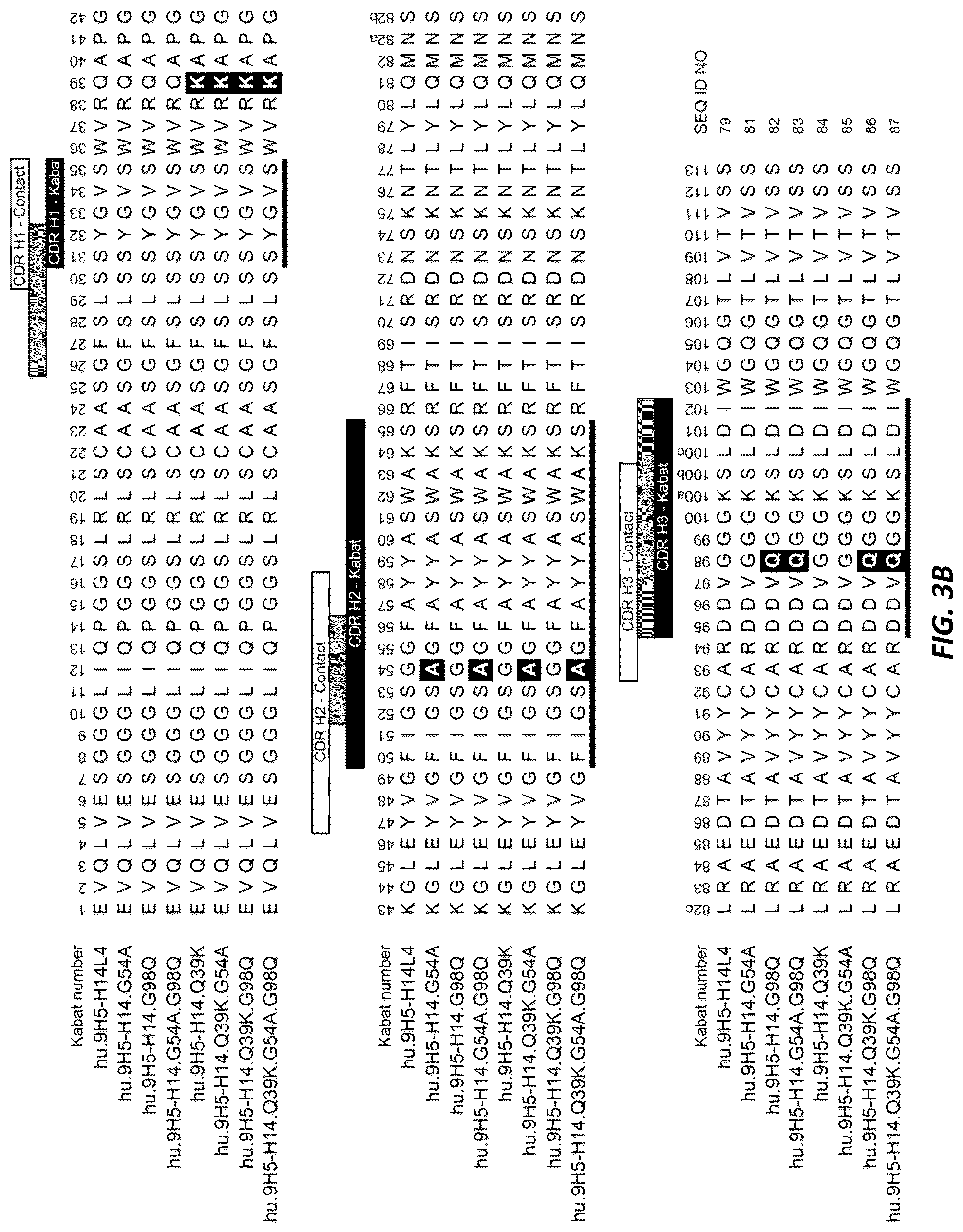 Patent US12312415 Figure 6 – Anti-KLK7 antibodies, anti-KLK5 antibodies, multispecific anti-KLK5/KLK7 antibodies, and methods of use