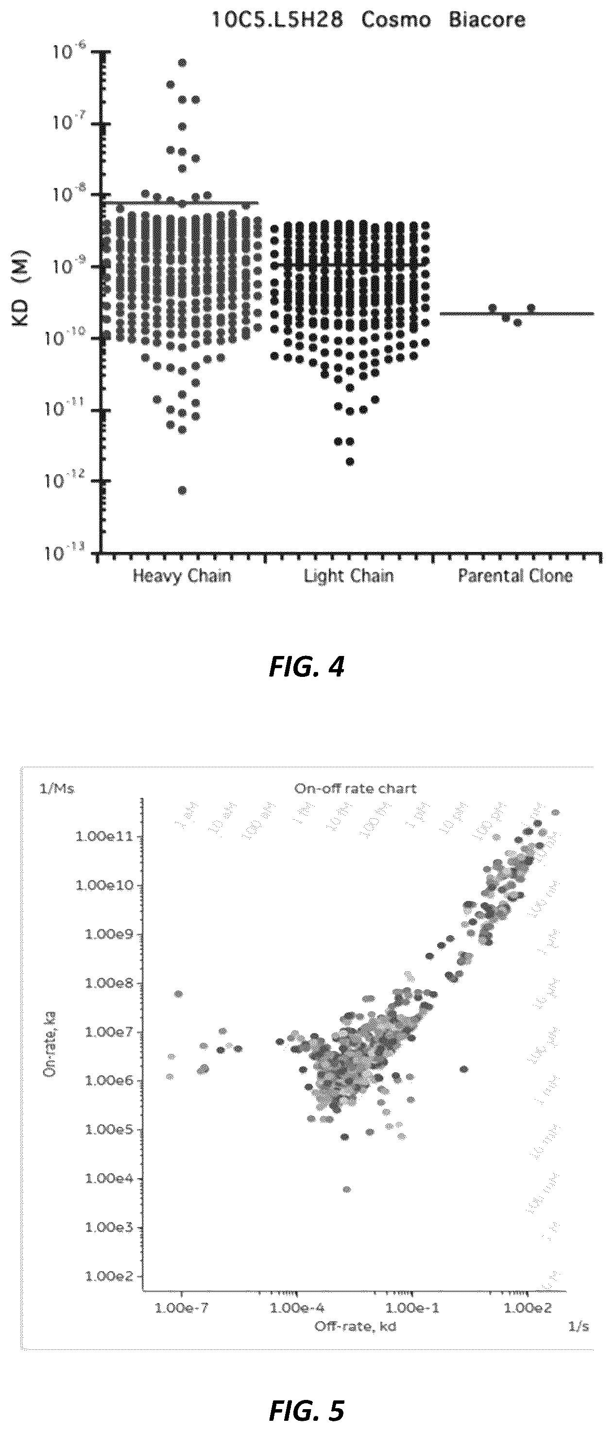 Patent US12312415 Figure 7 – Anti-KLK7 antibodies, anti-KLK5 antibodies, multispecific anti-KLK5/KLK7 antibodies, and methods of use