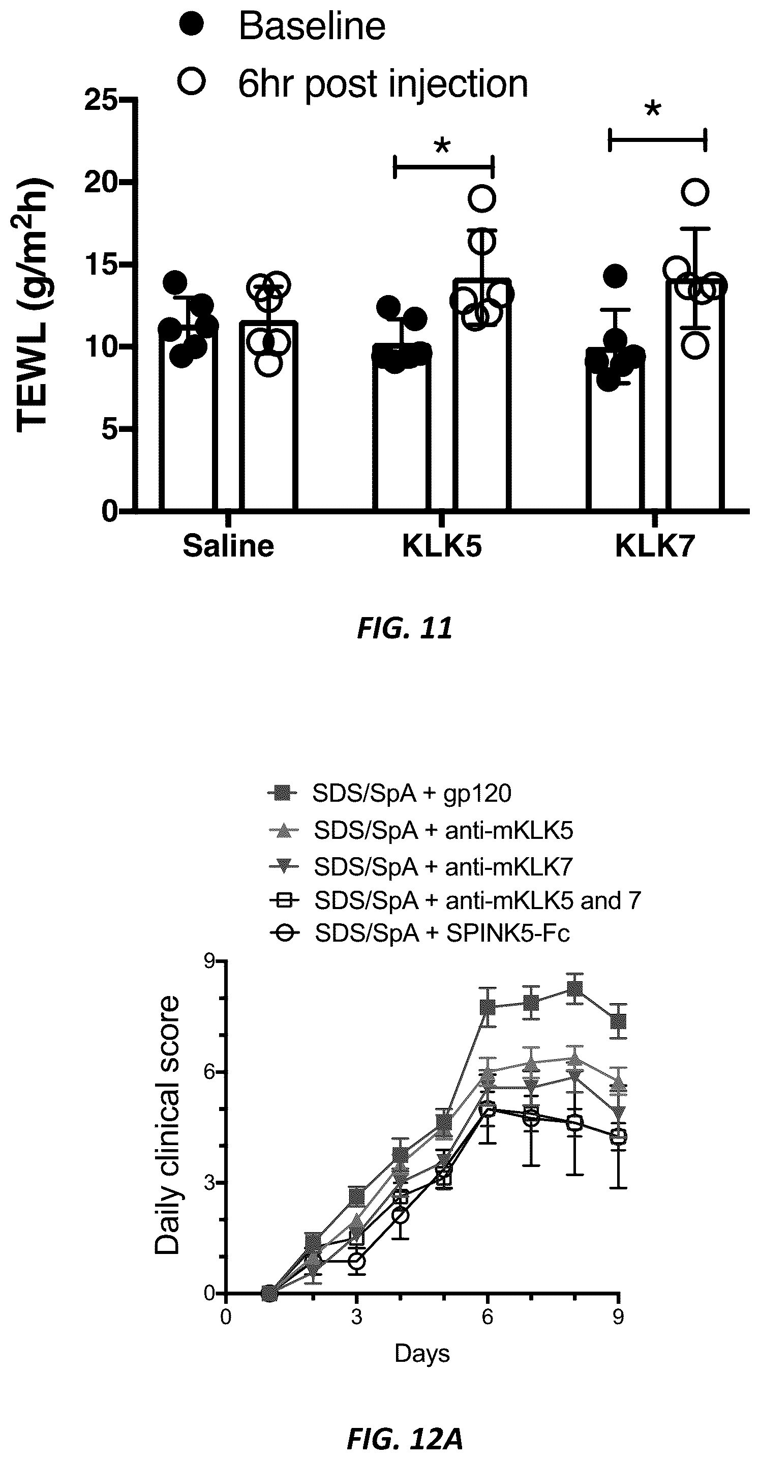 Patent US12312415 Figure 15 – Anti-KLK7 antibodies, anti-KLK5 antibodies, multispecific anti-KLK5/KLK7 antibodies, and methods of use