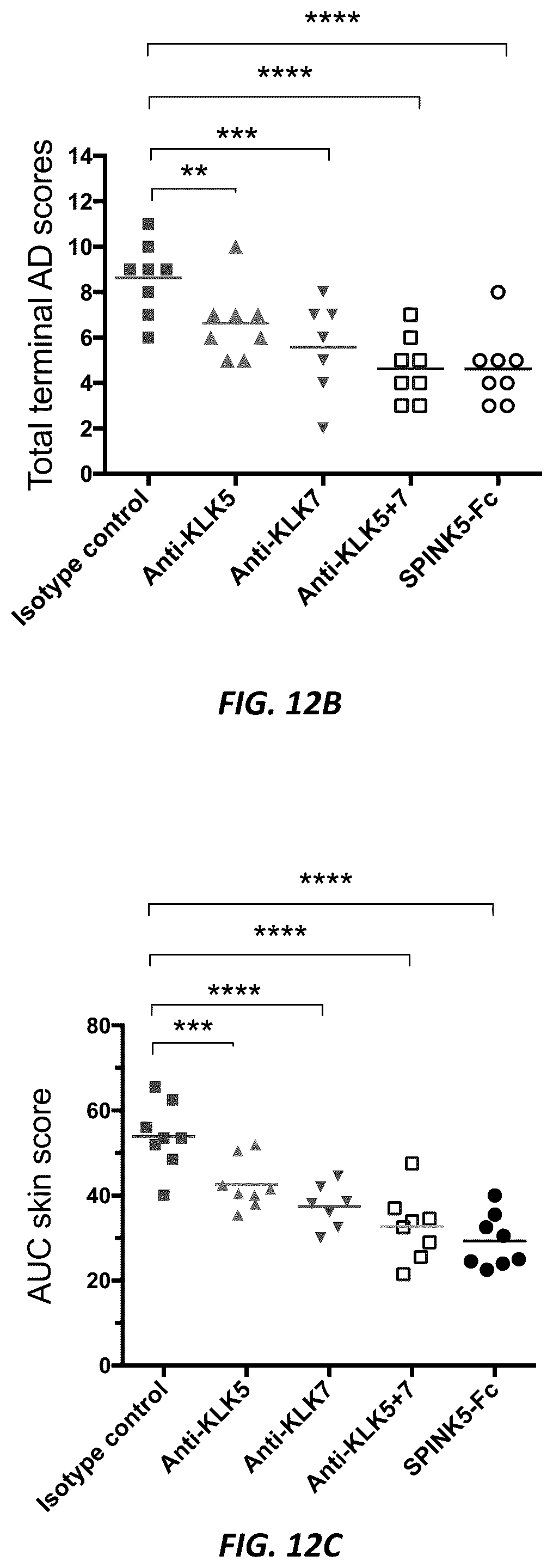 Patent US12312415 Figure 16 – Anti-KLK7 antibodies, anti-KLK5 antibodies, multispecific anti-KLK5/KLK7 antibodies, and methods of use