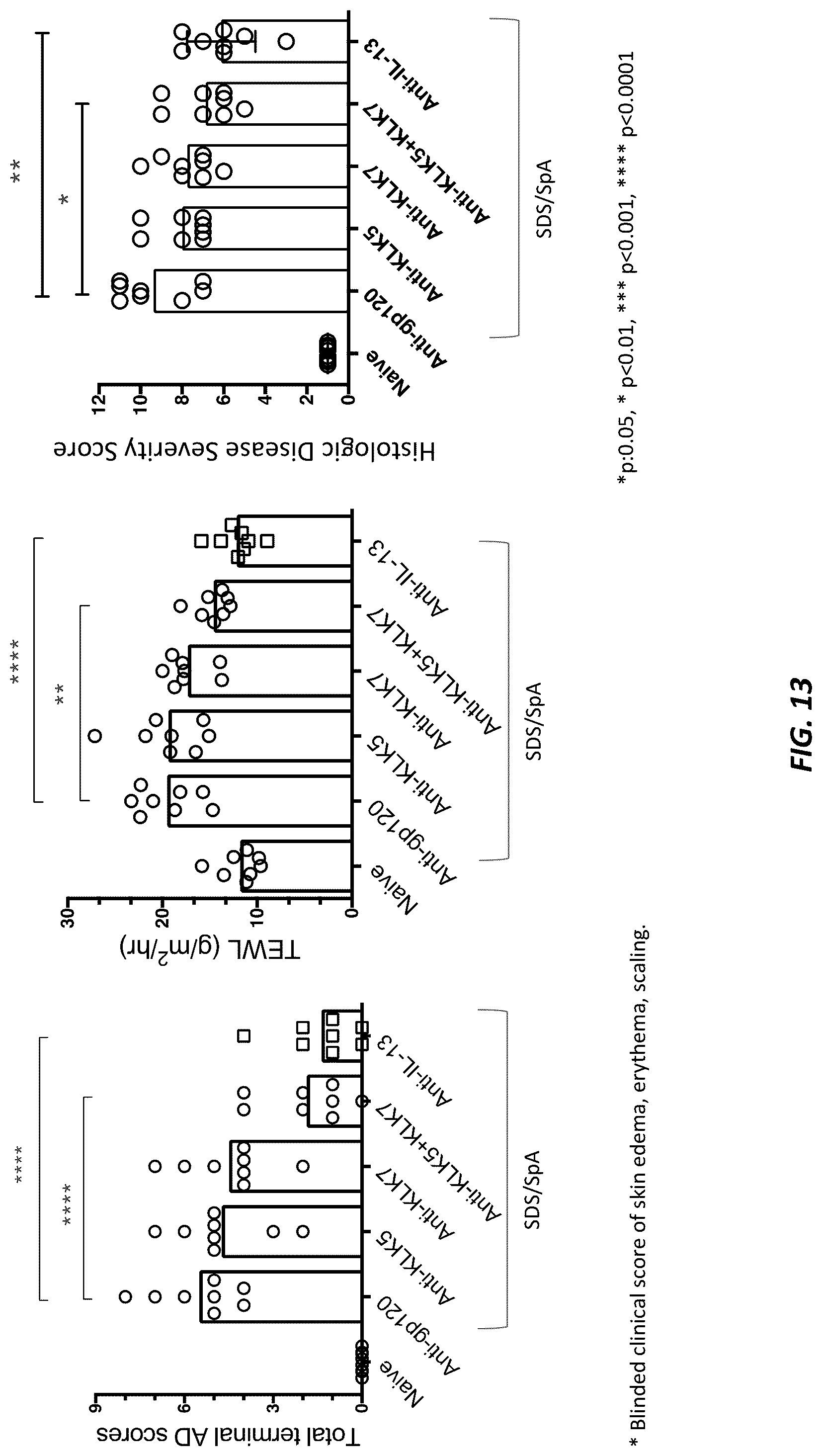 Patent US12312415 Figure 17 – Anti-KLK7 antibodies, anti-KLK5 antibodies, multispecific anti-KLK5/KLK7 antibodies, and methods of use
