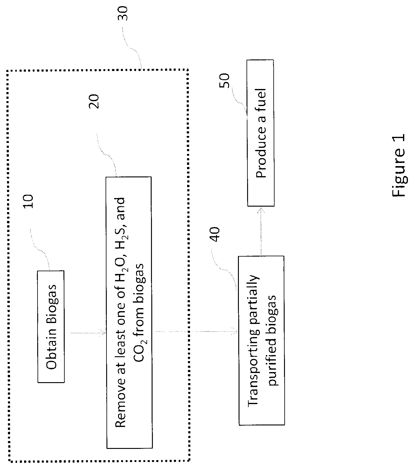 Patent US12312547 — Method and system for producing a fuel from biogas — Figure 1