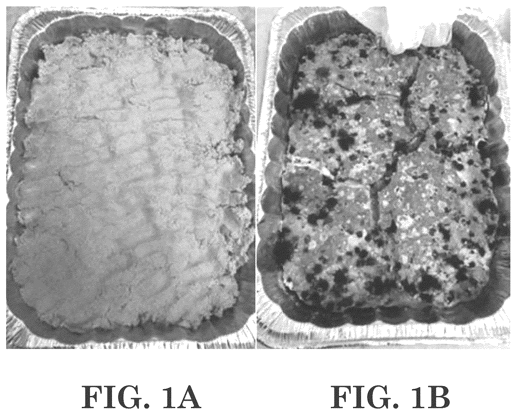 Patent US12312557 — Methods of making antimicrobial compositions and/or virucidal disinfectant compositions from vegetable oil, and related antimicrobial compositions and/or virucidal disinfectant compositions and uses — Figure 1
