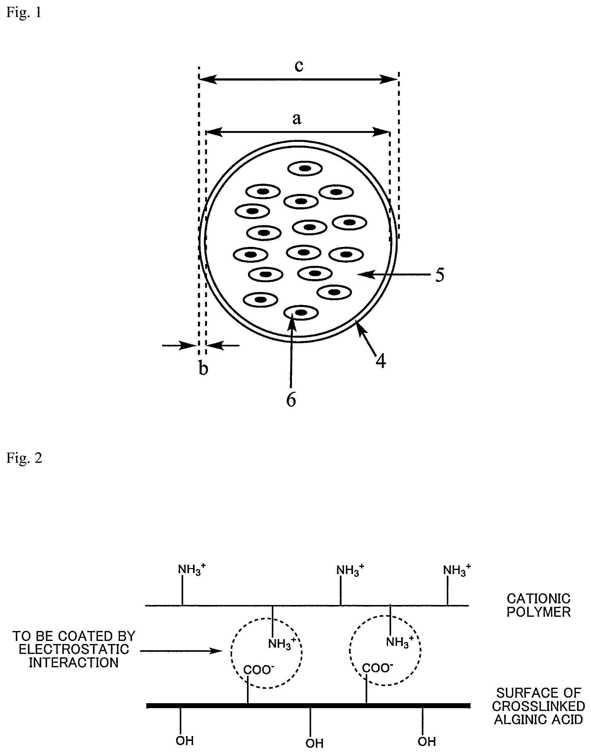 Patent US12312574 — Polymer-coated crosslinked alginate gel fiber — Figure 1