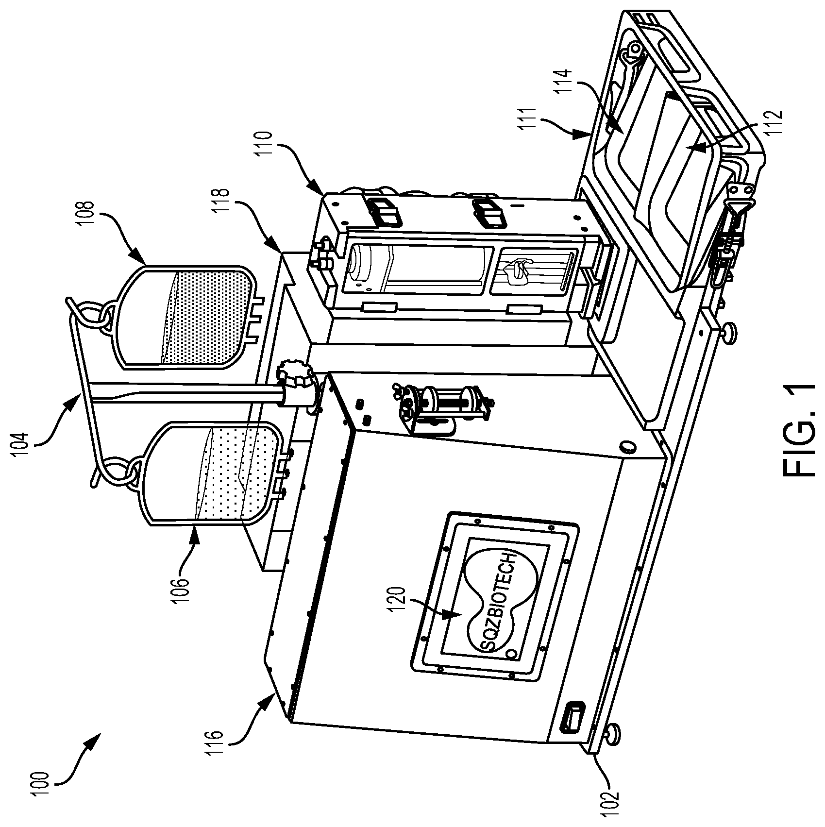 Patent US12312576 — System for delivery of a payload into a cell — Figure 1