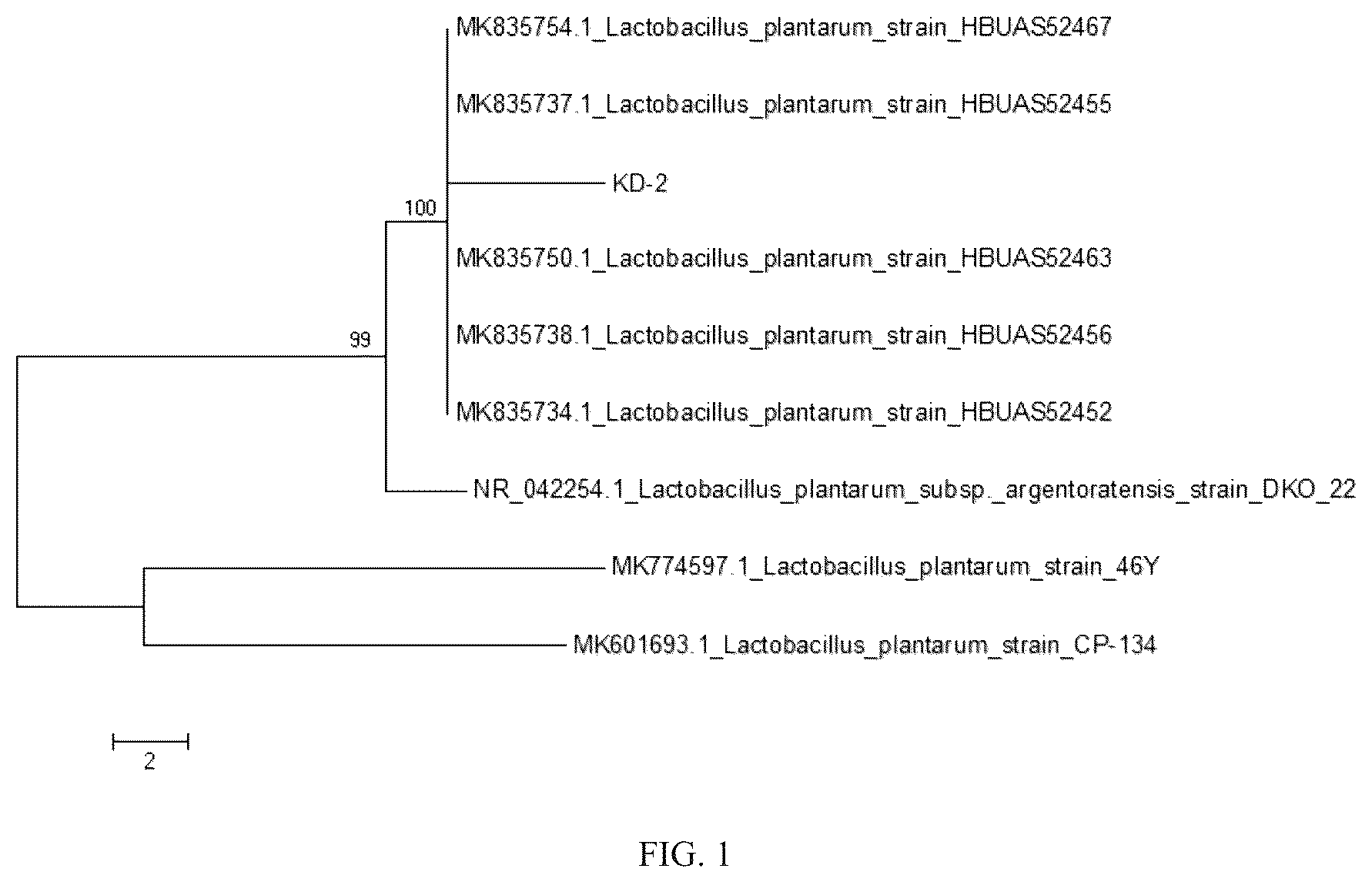 Patent US12312580 — Strain of selenium-enriched Lactiplantibacillus plantarum KD-2 and applications in preparing fermented goat milk and goat milk powder — Figure 1