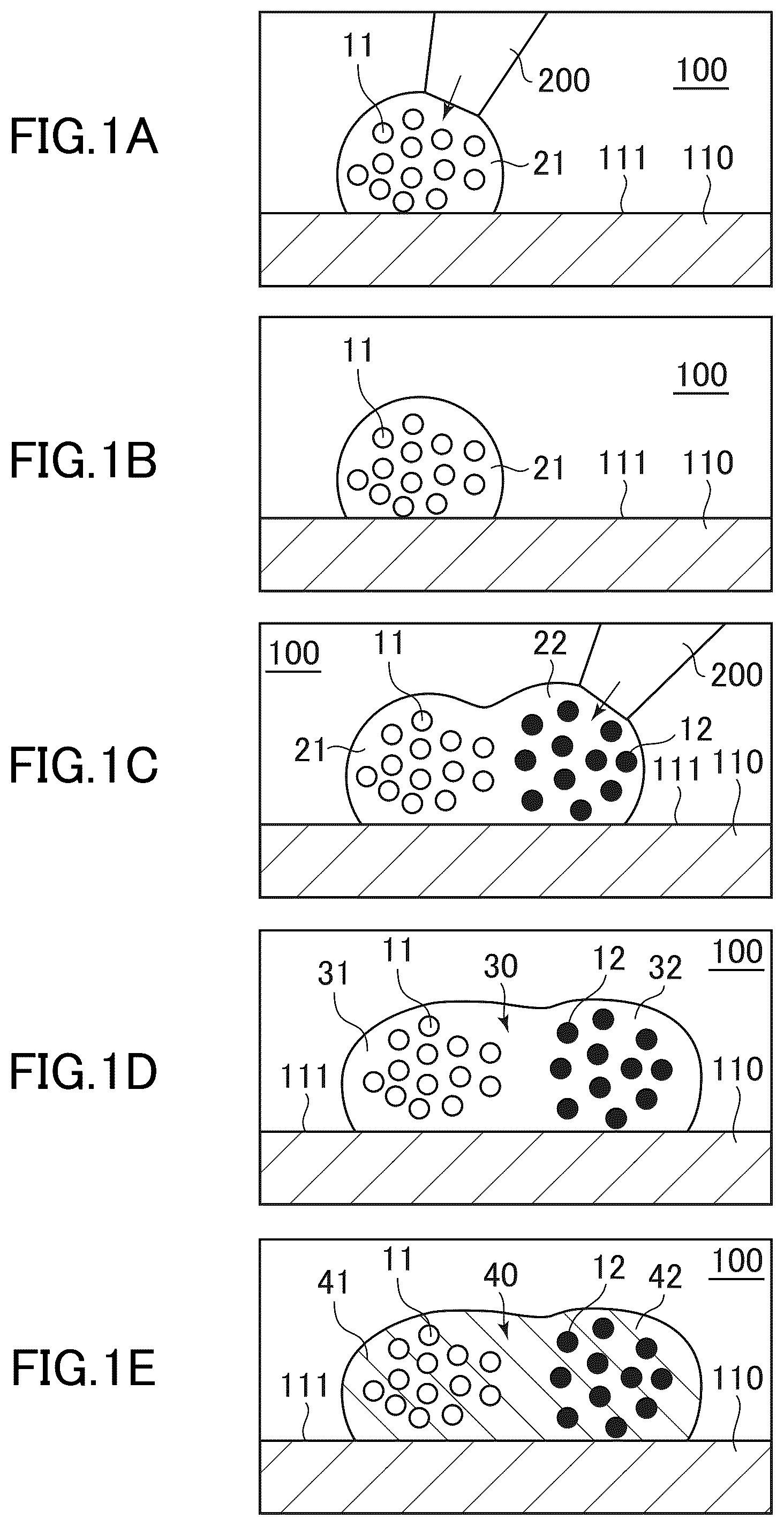 Patent US12312581 — Cell-containing hydrogel body and method for producing same — Figure 1