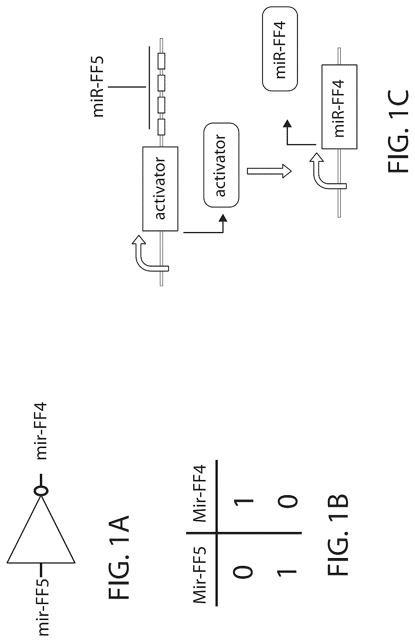 Patent US12312583 — MicroRNA-based logic gates and uses thereof — Figure 1