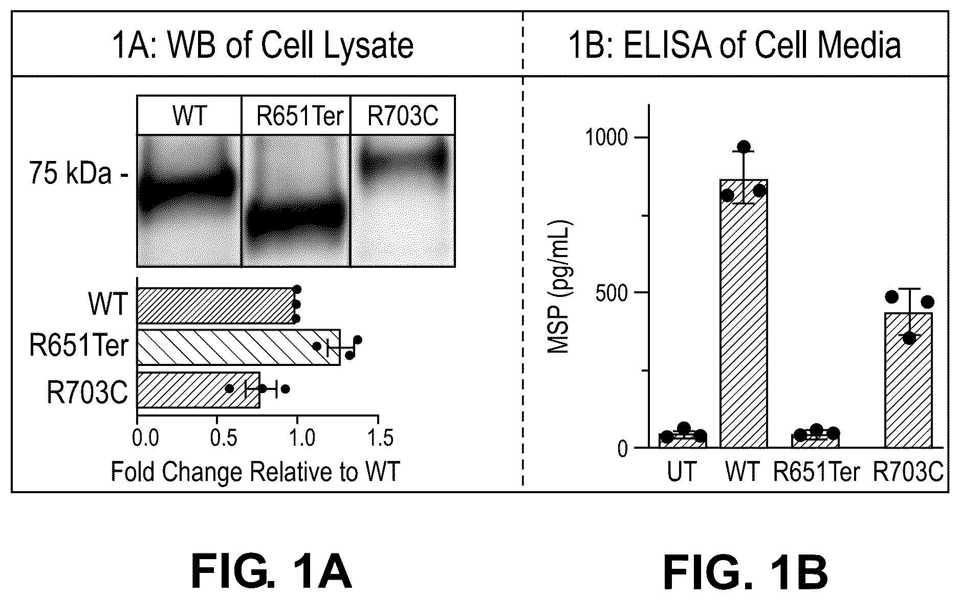 Patent US12312586 — Treatment of MST1 related diseases and disorders — Figure 1