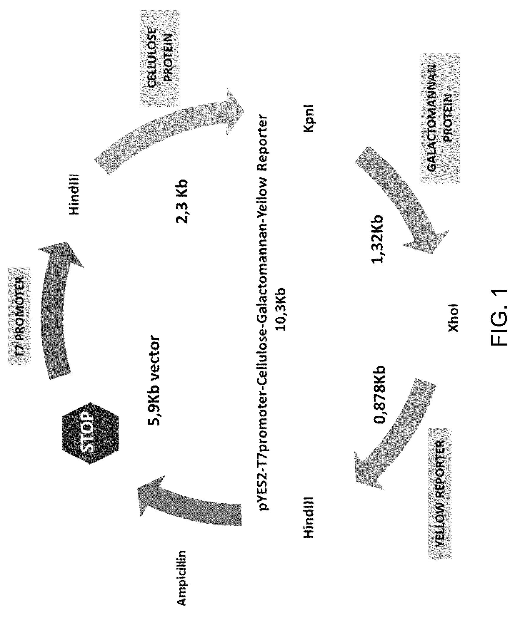 Patent US12312590 — Methods for producing carbo sugars and applications thereof — Figure 1