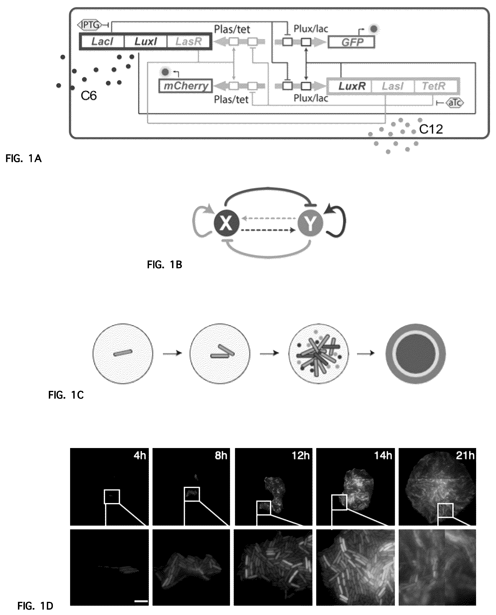 Patent US12312591 Figure 1 – Methods and systems for generating complex spatial patterns