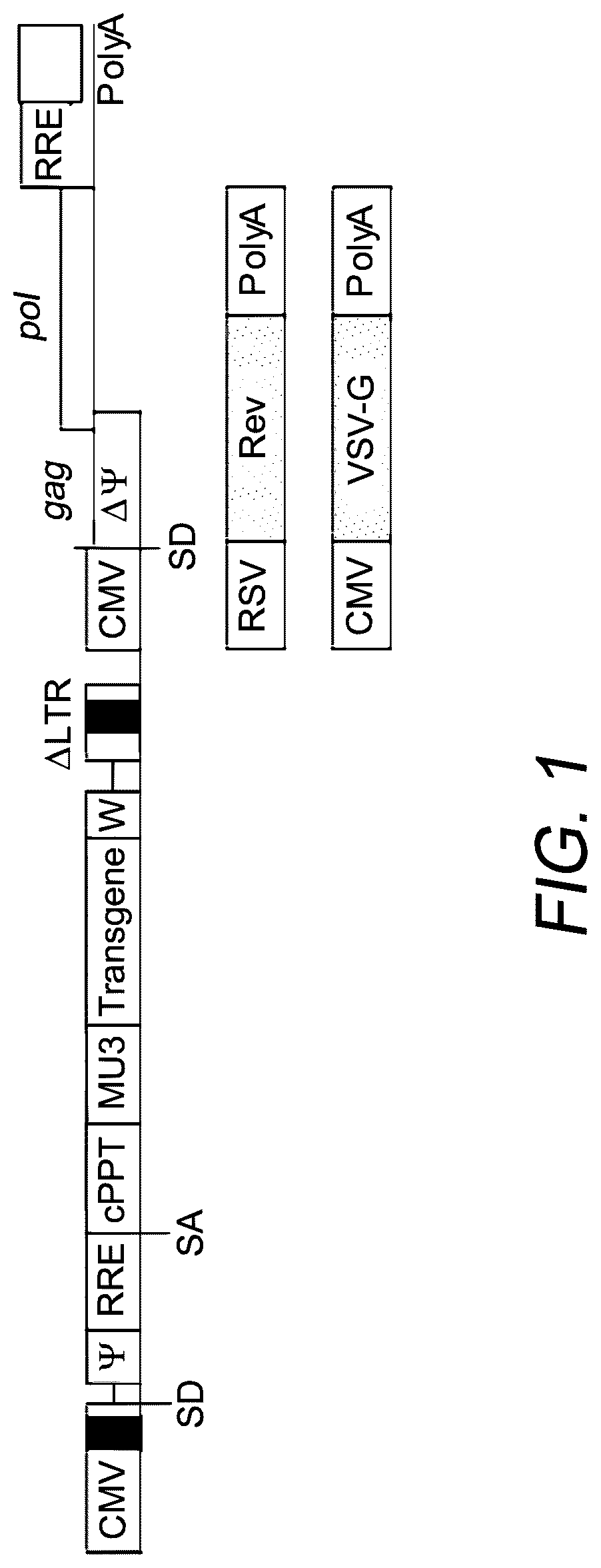 Patent US12312593 Figure 1 – Lymphocyte targeted lentiviral vectors