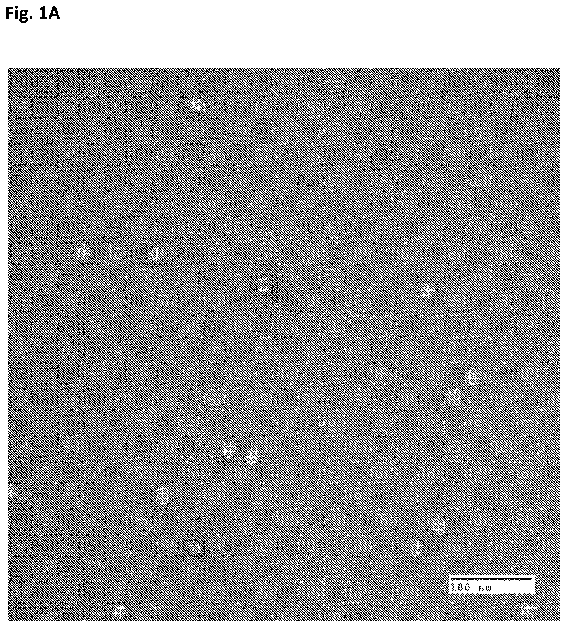 Patent US12312594 Figure 1 – Nucleic acid origami structure encapsulated by capsid units